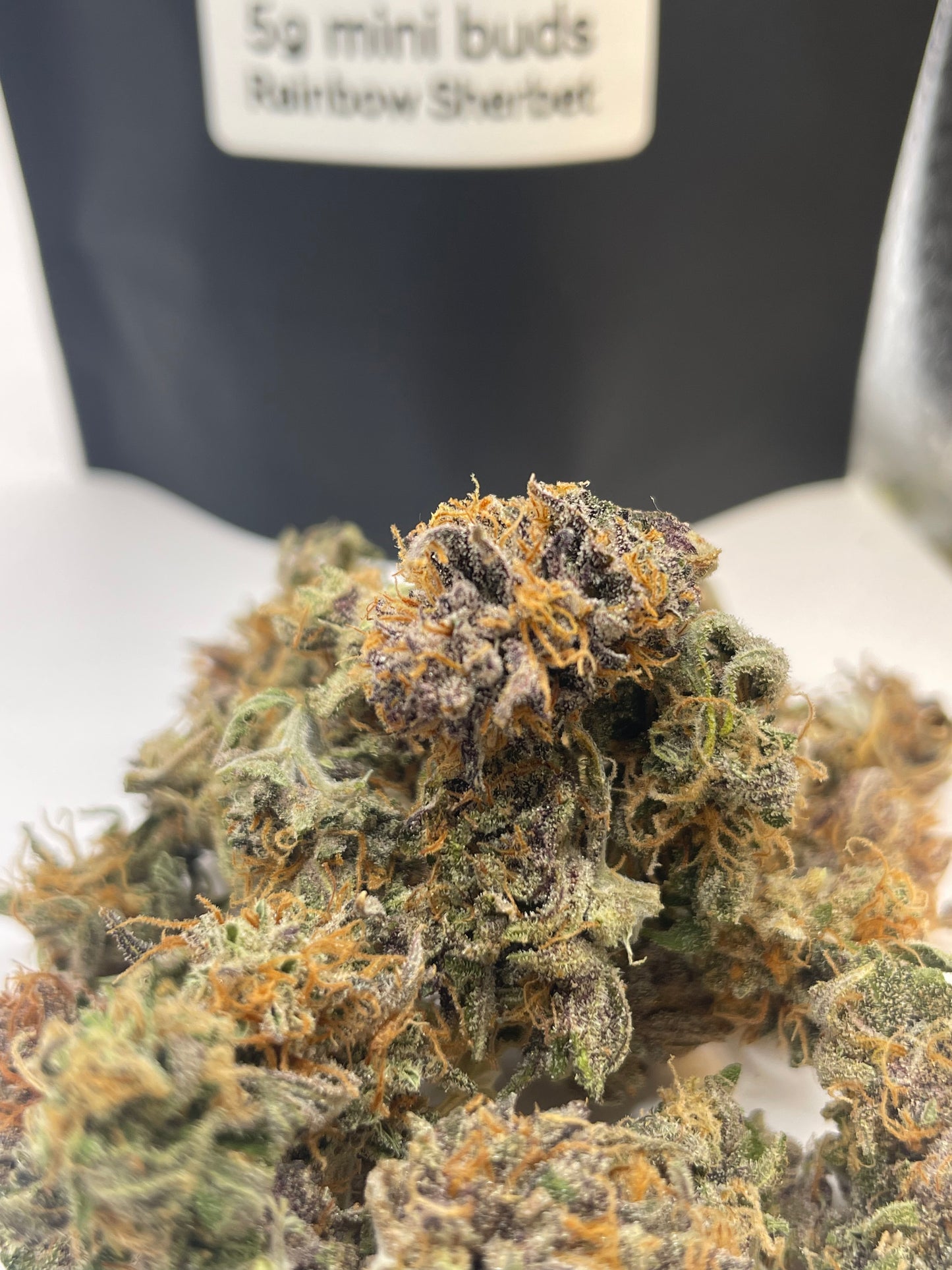Pack CHILL Black Friday – Sapphyre Kush x Rainbow Sherbet (10g minibuds)