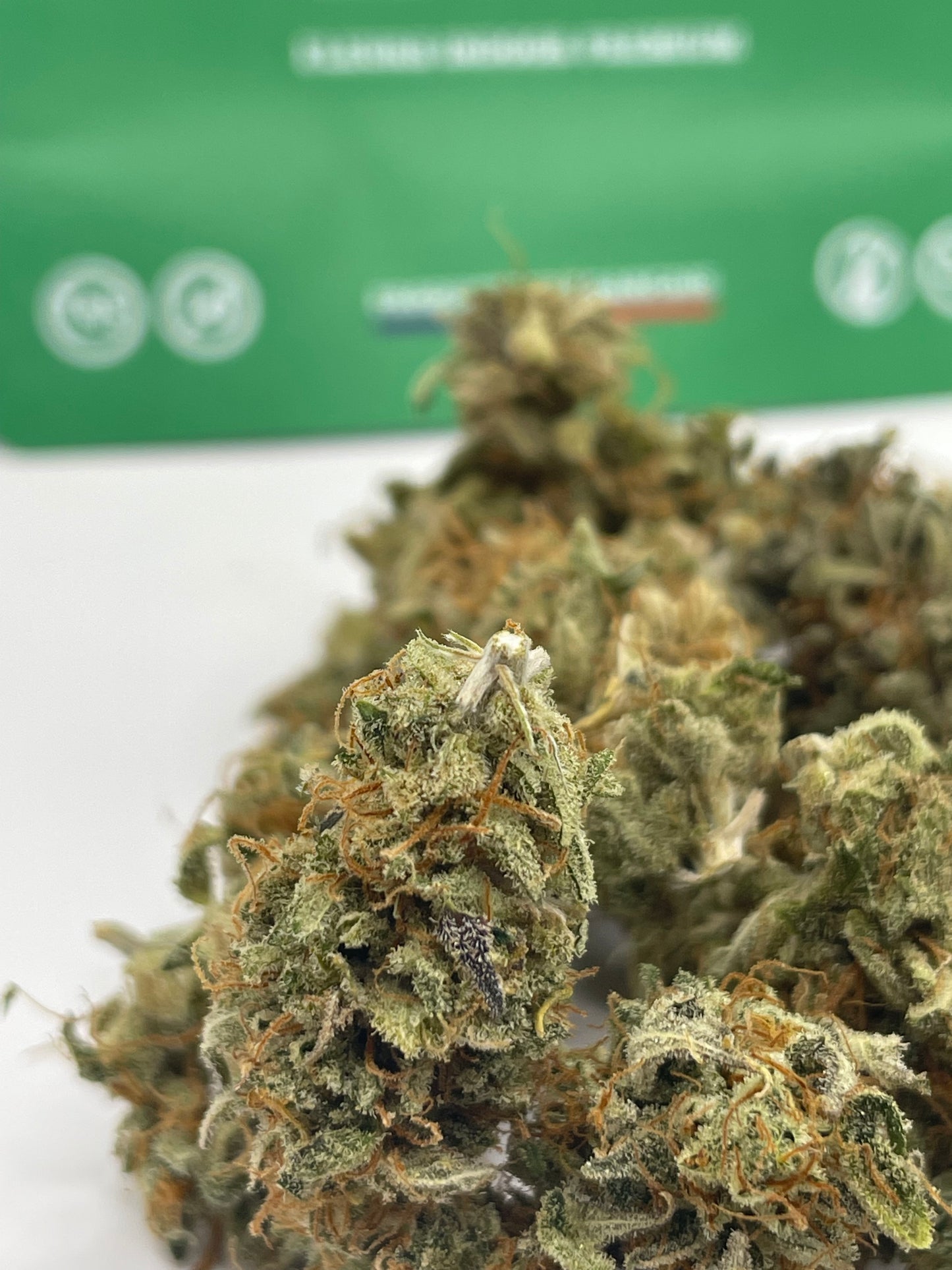 Mini Bud - Pineapple Sauvage