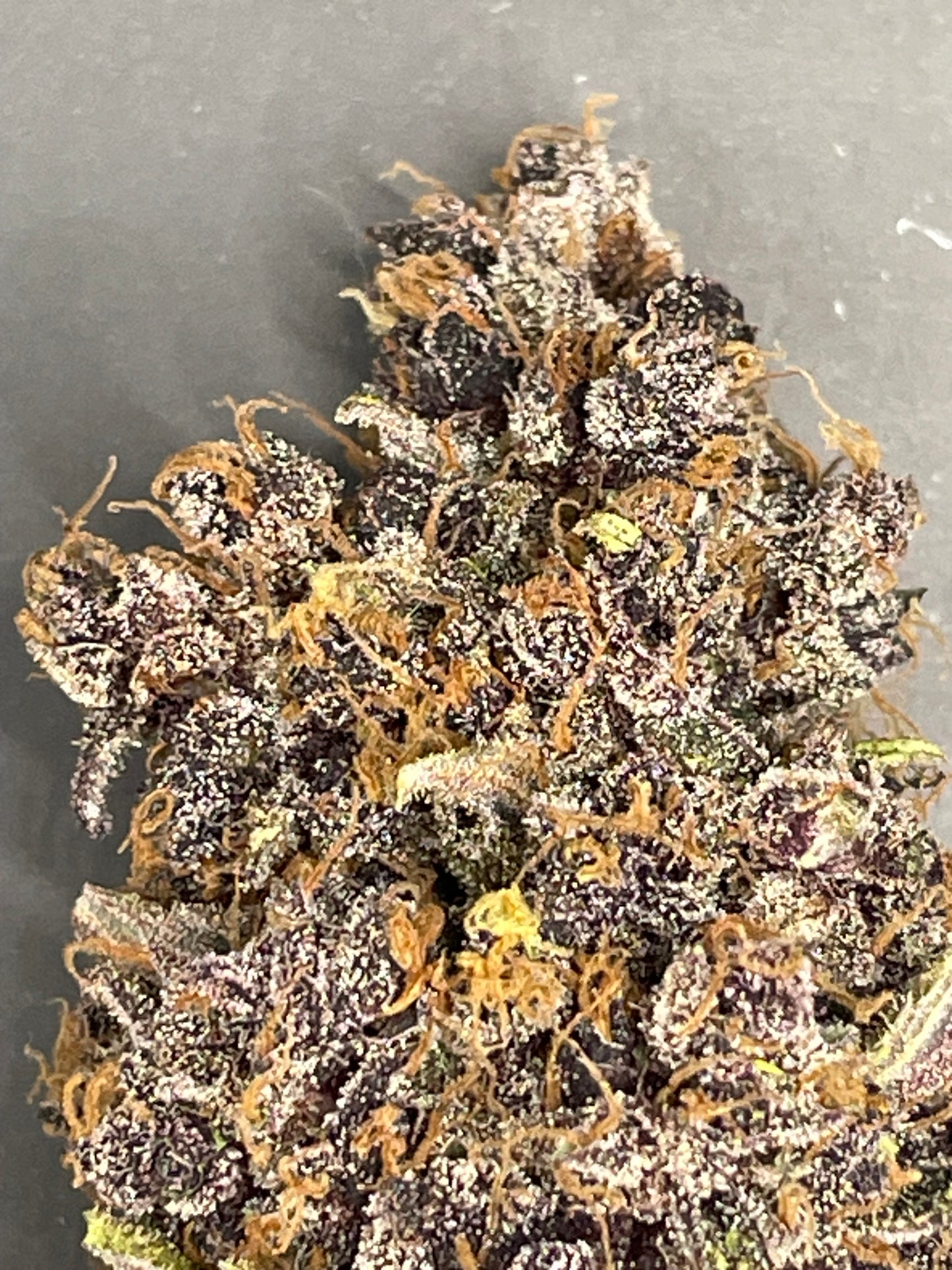 Fleur CBD - Orange Fritter Indoor Indoor