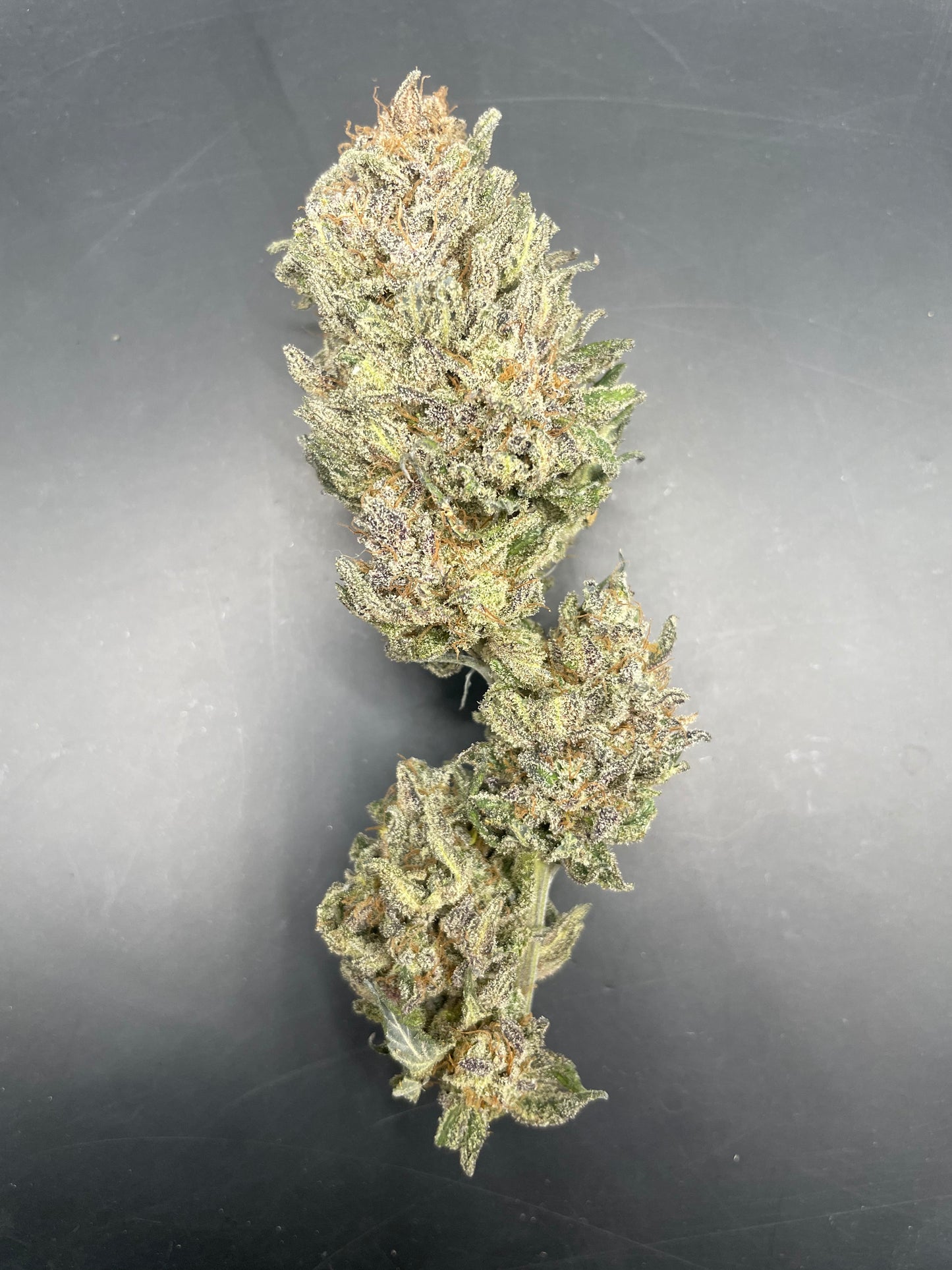 Fleur CBD - Gaz Station Gouda Indoor