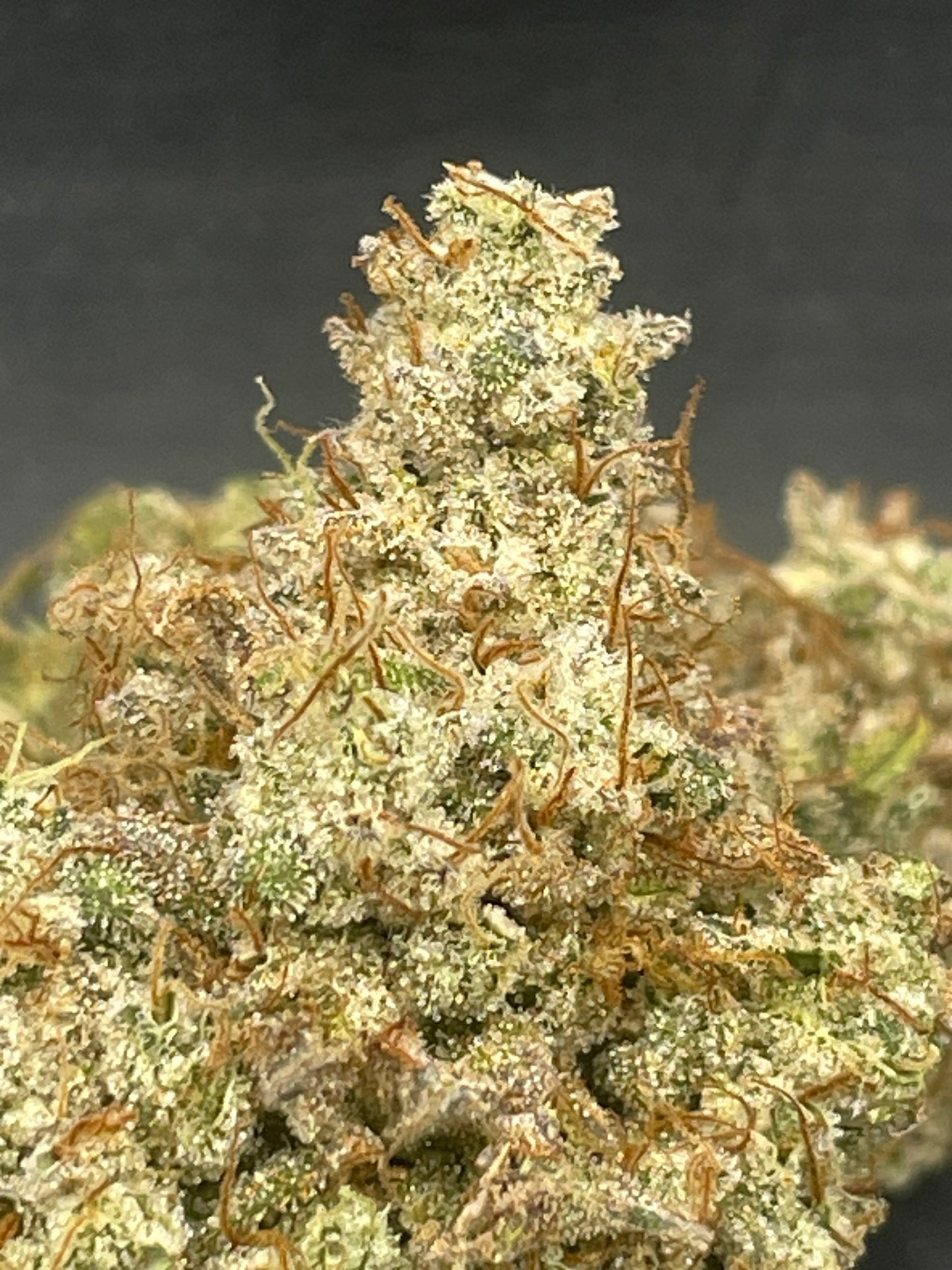 Fleur CBD - Legendary Banana MAC Indoor