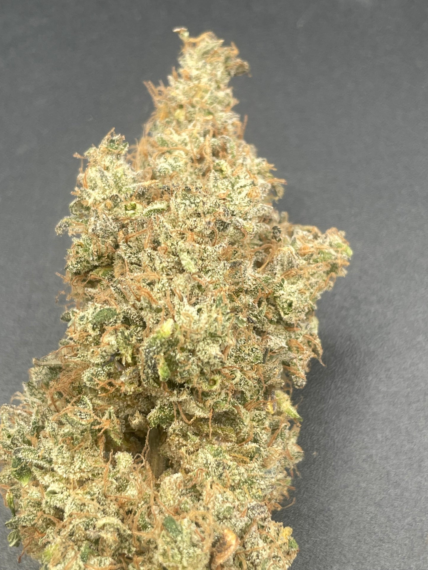 Fleur CBD - YAK Pudding - CLUB LTF