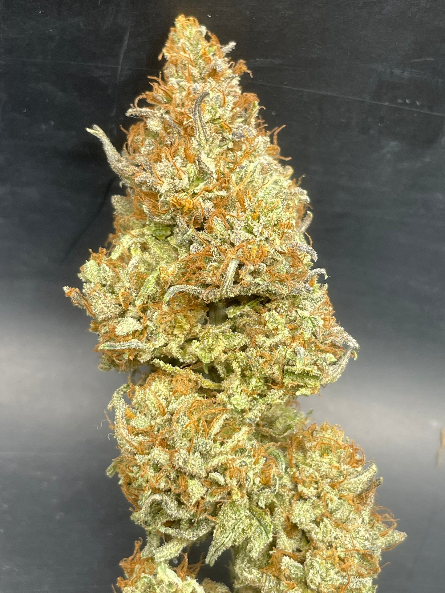 Fleur CBD - G2 Kush