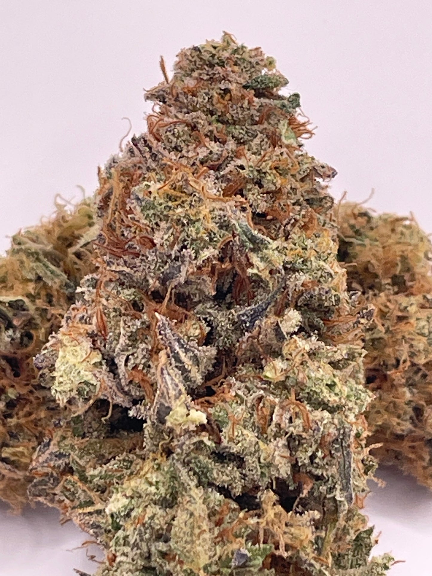 Fleur CBD - Saucière - Indoor