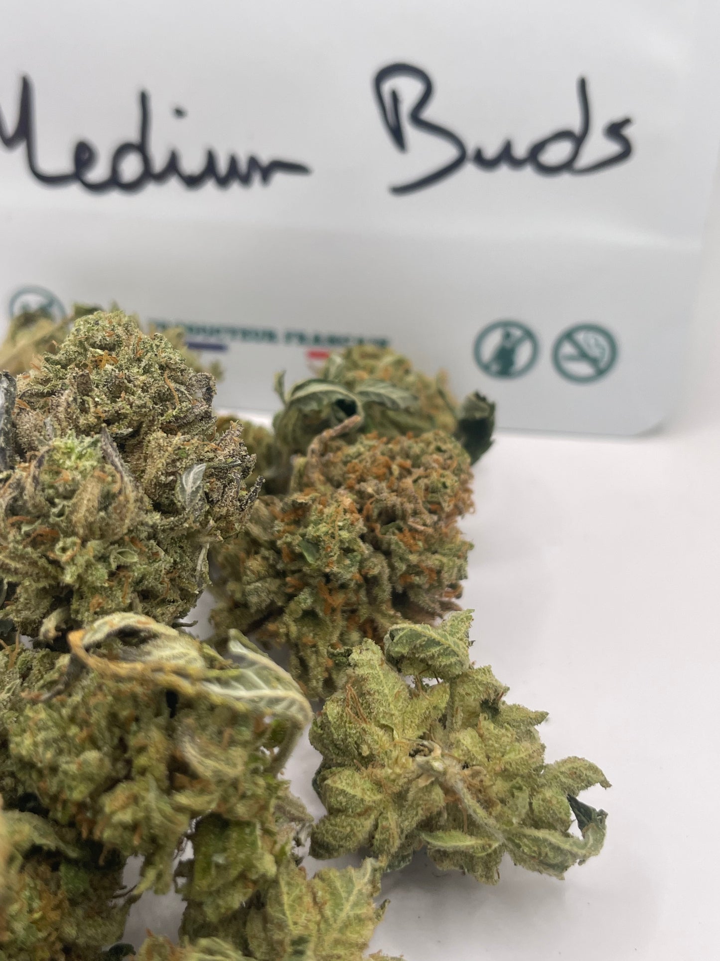 Medium Buds - Sweet Frost