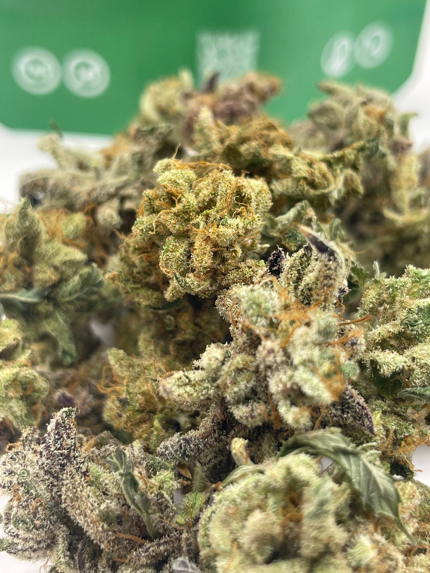 Mini Bud - Lemon Leather