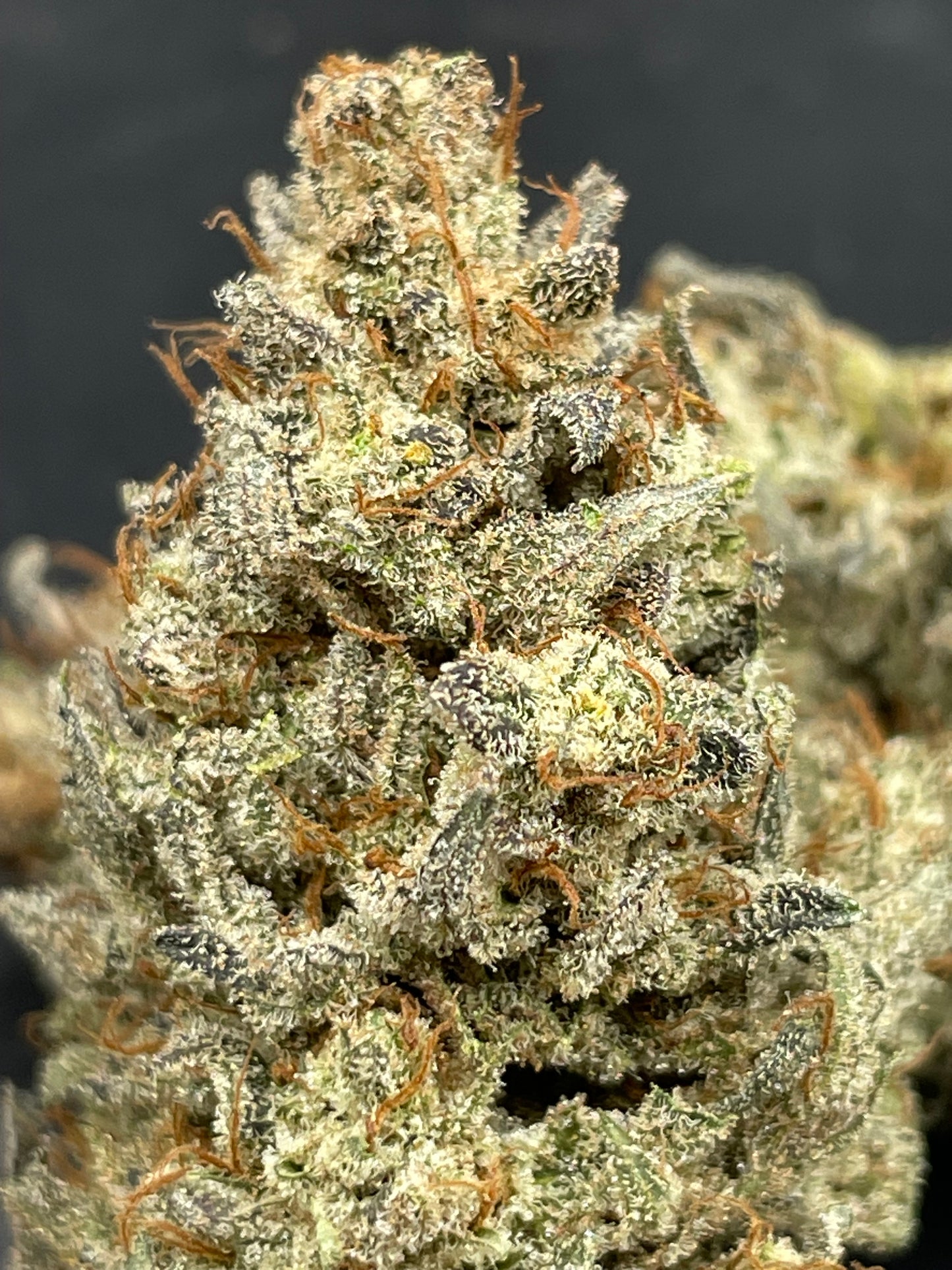 Fleur CBD - Fire OG - Indoor
