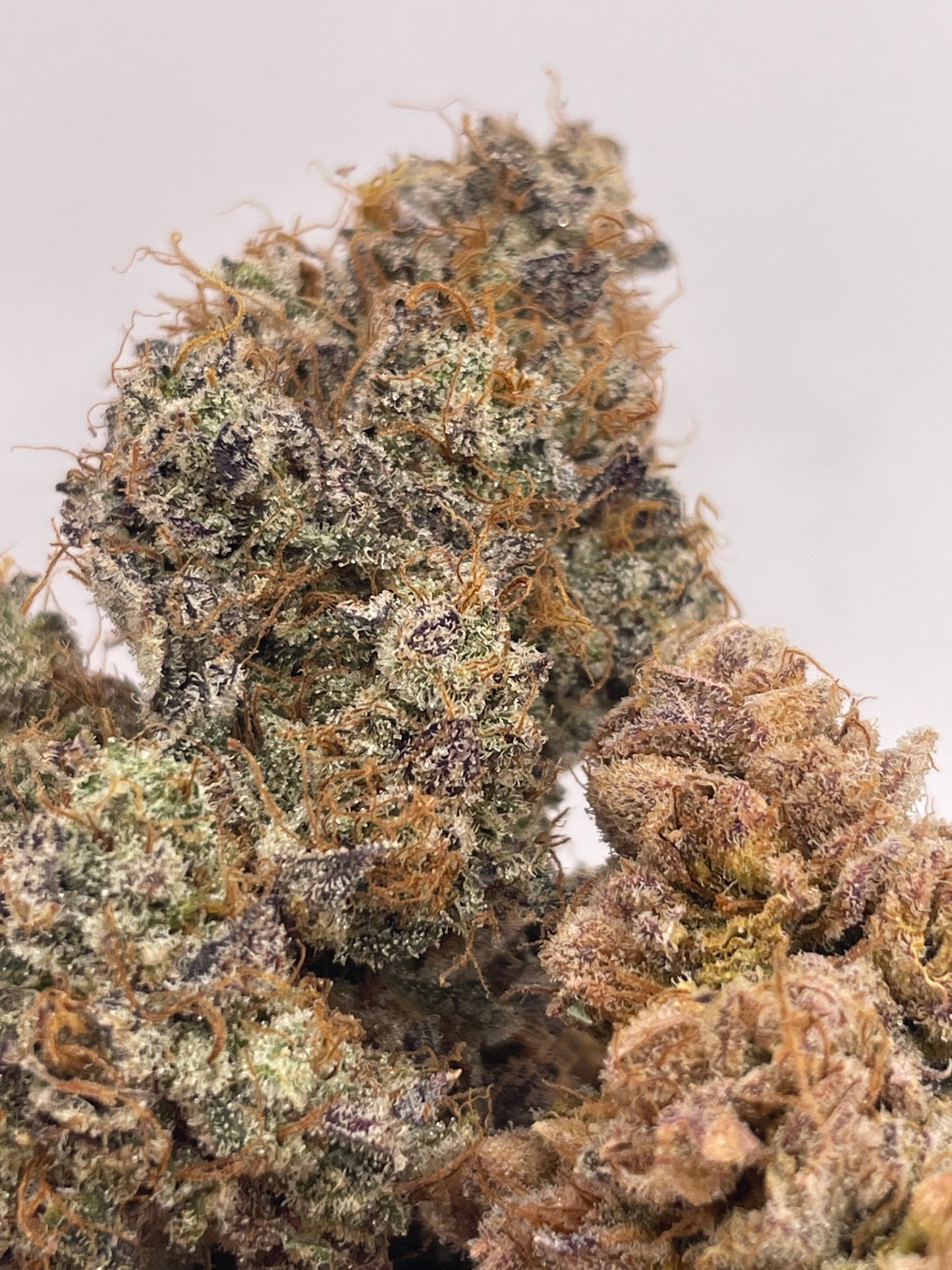 Medium Buds - Lemon Leather
