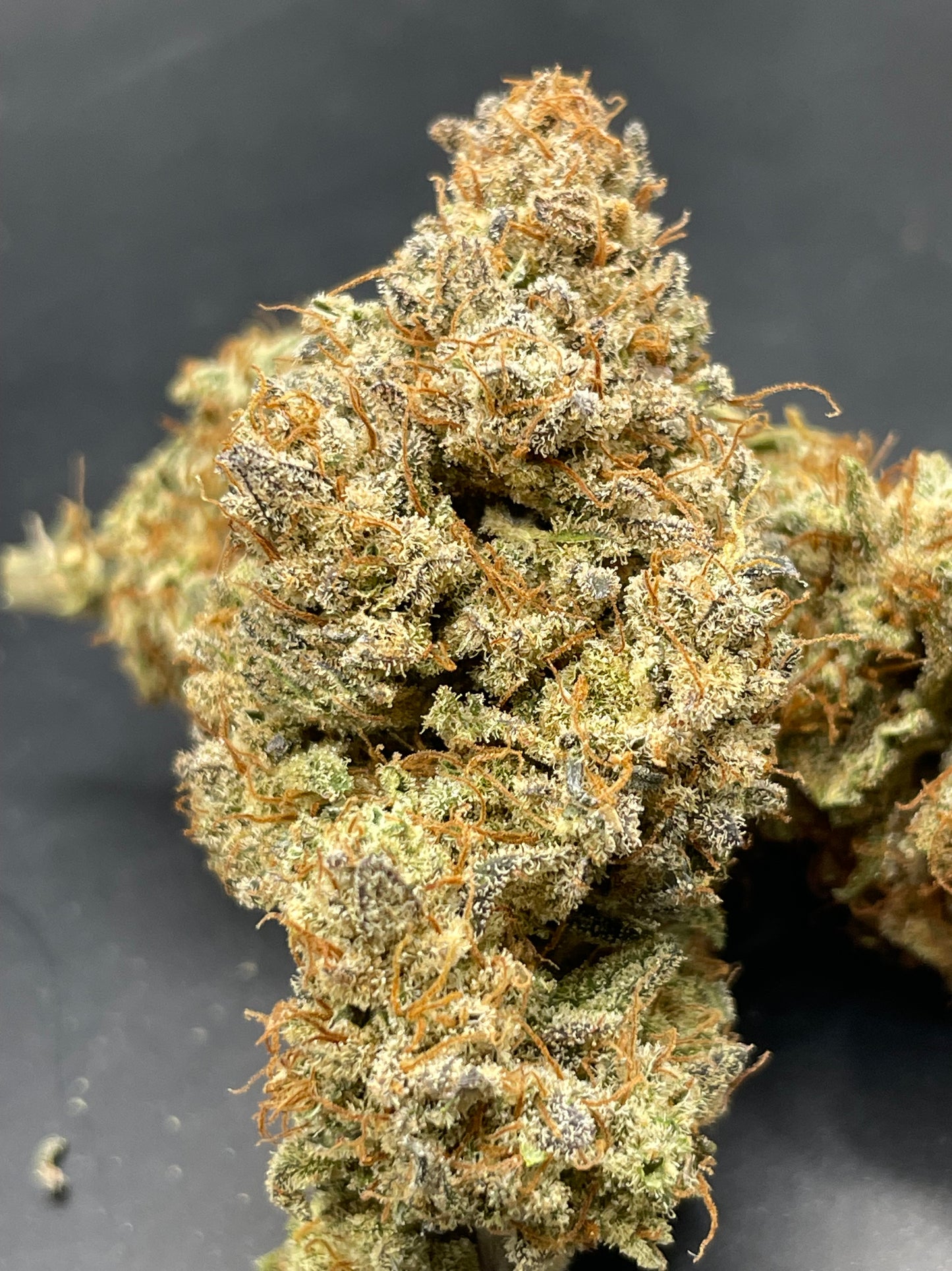 Fleur CBD - LLAMA Bean - Indoor