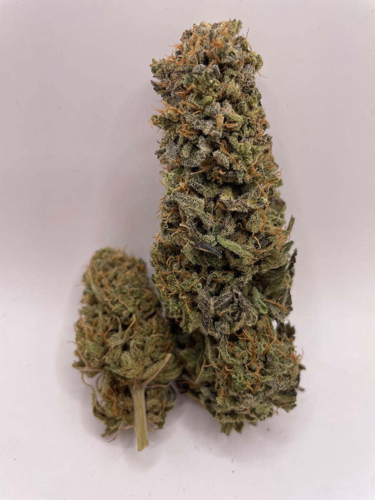 Big Buds - Botatonik