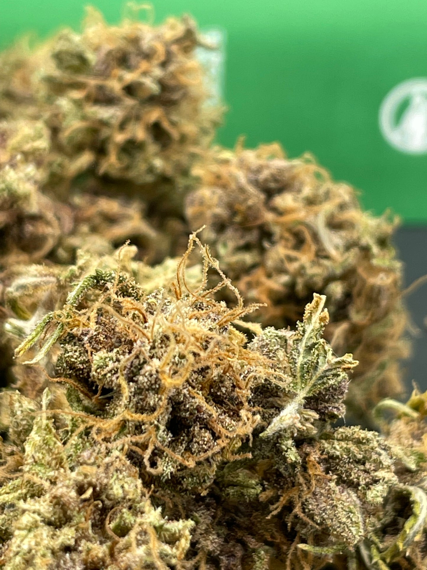 Mini Bud - Z7 - Andaway