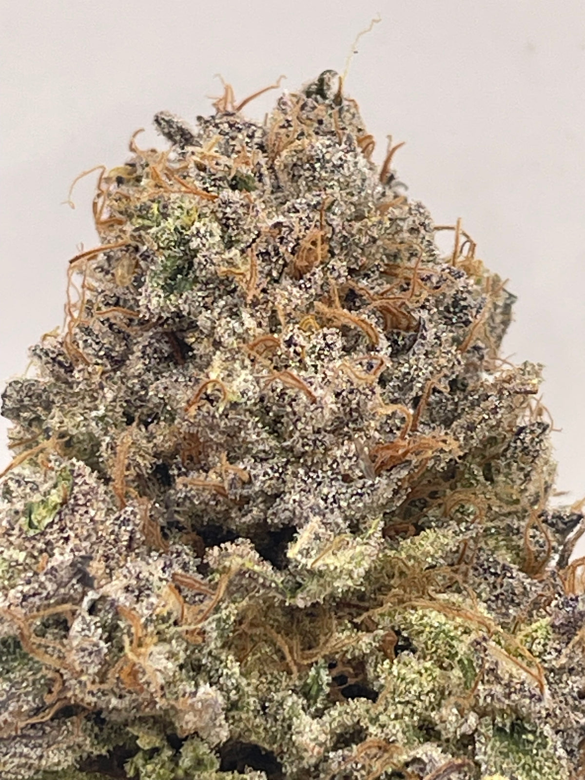 Big Buds Apple Sauce, photo 2