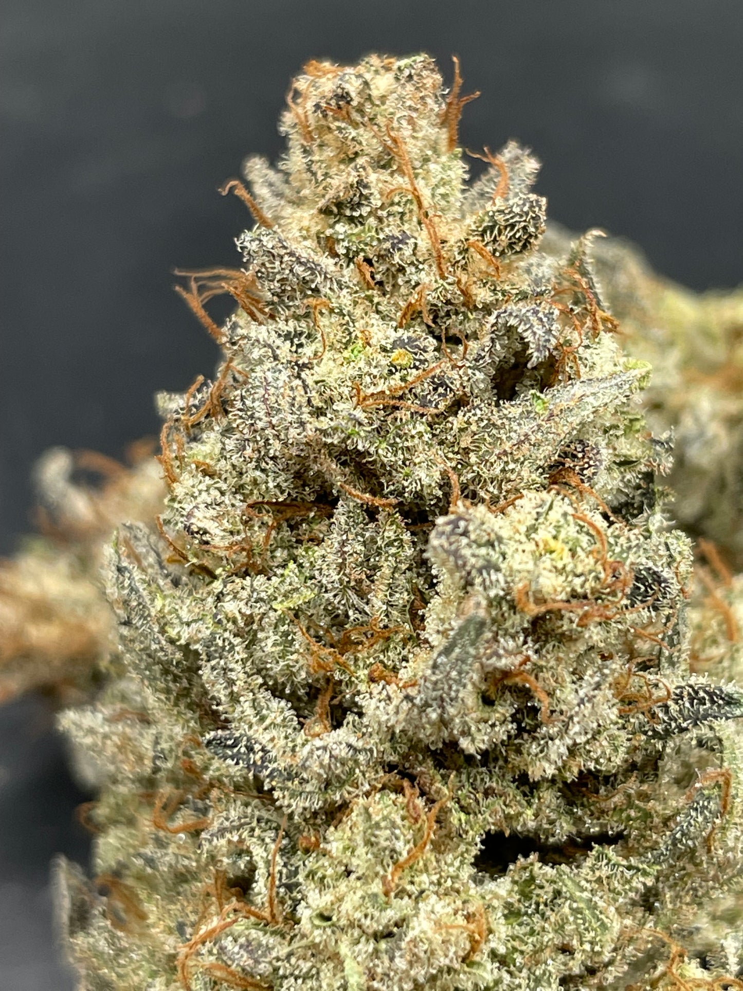Fleur CBD - Fire OG - Indoor