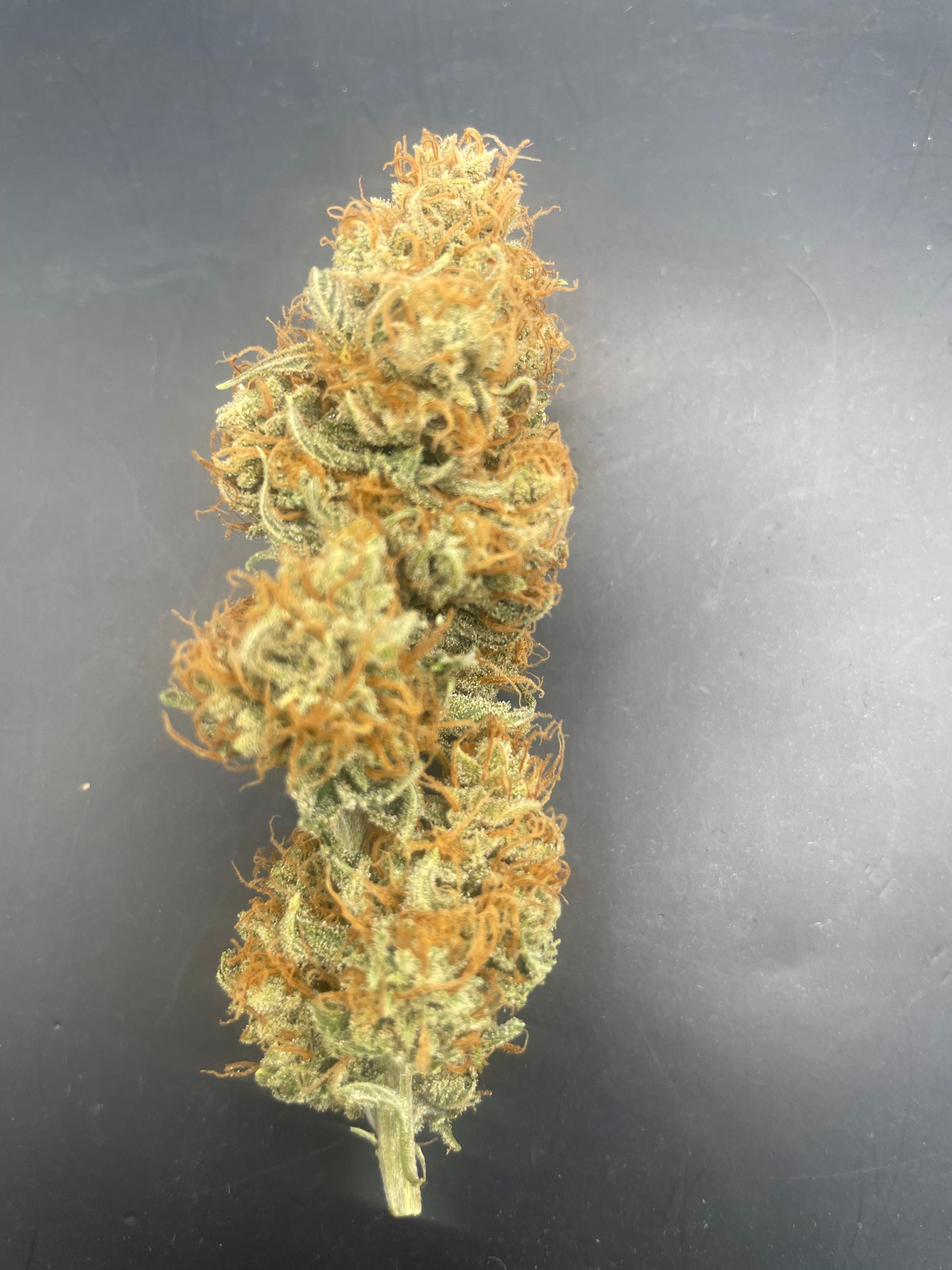 Fleur CBD - Space Farmer - Indoor