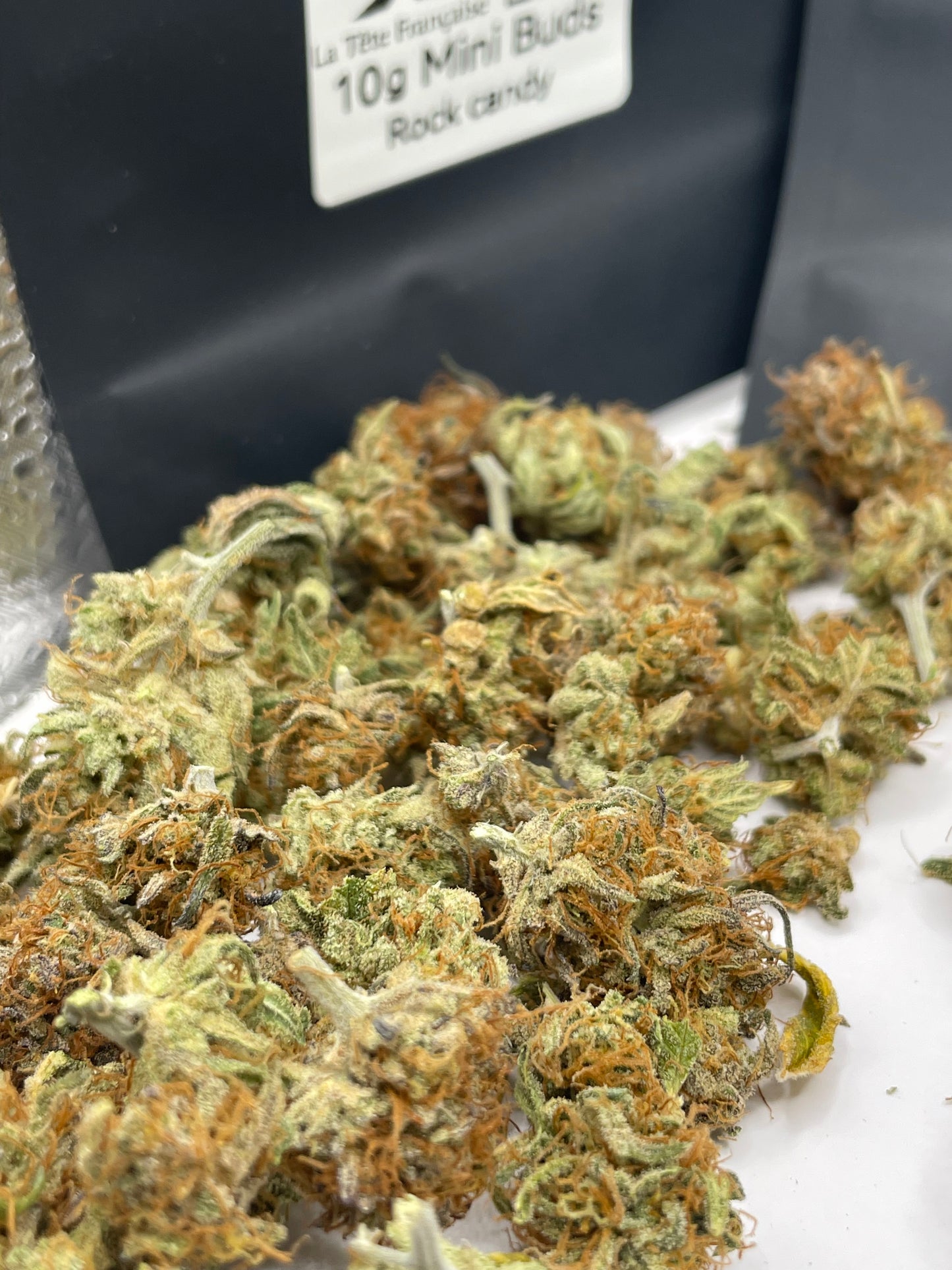 Pack Noël des Minis – Indoor Rock Candy, Saucière, Sapphyre 🎄