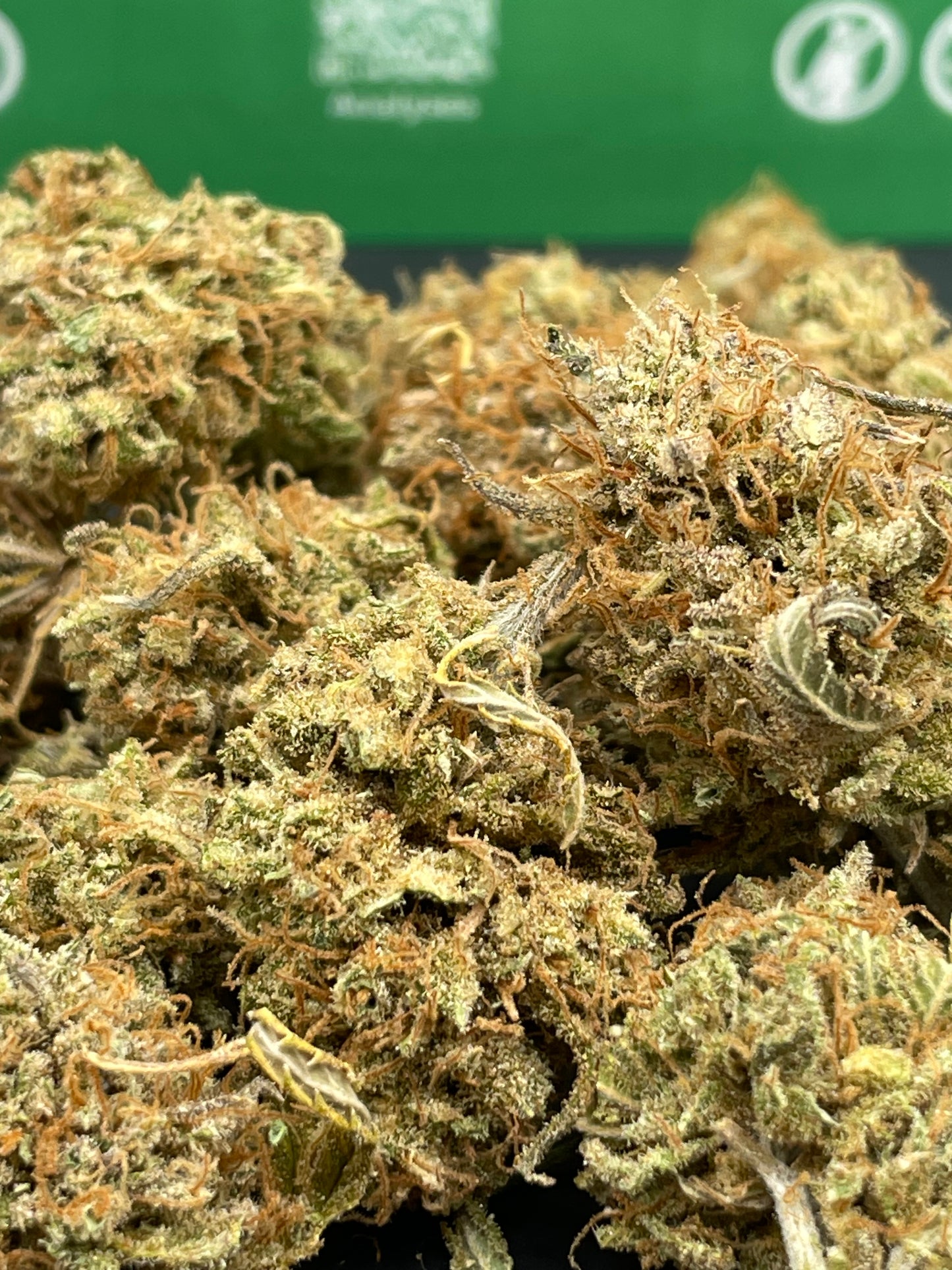 Mini Bud - Dream Tonic - Andaway