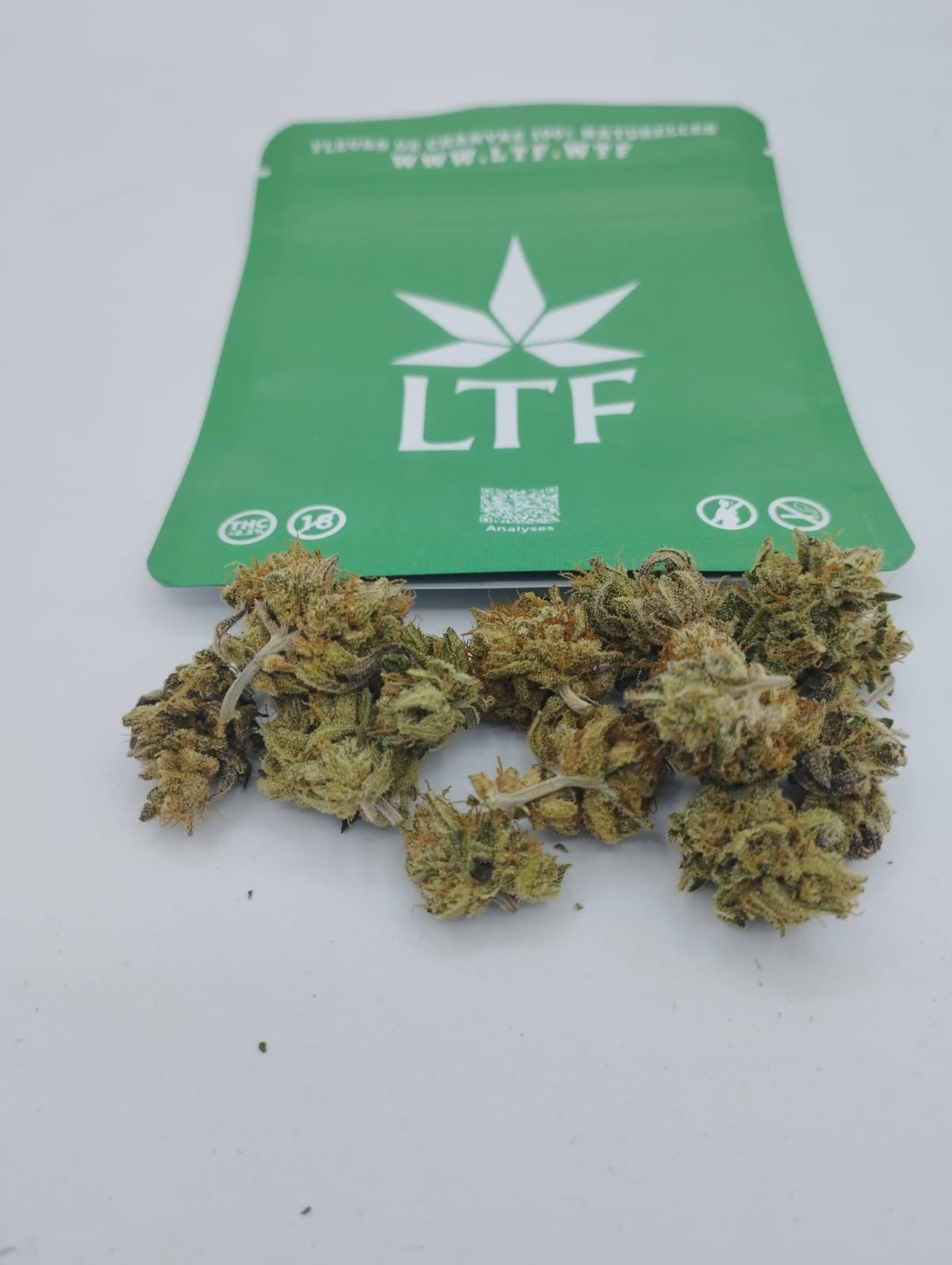 Mini Bud - LLAMA Bean