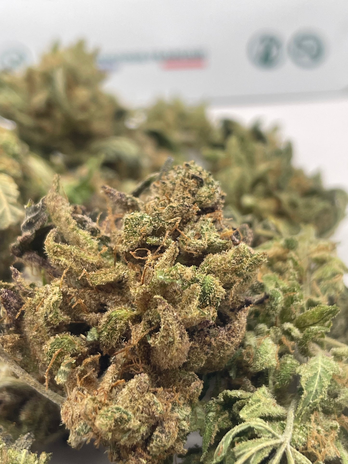 Medium Buds - Tomahawk