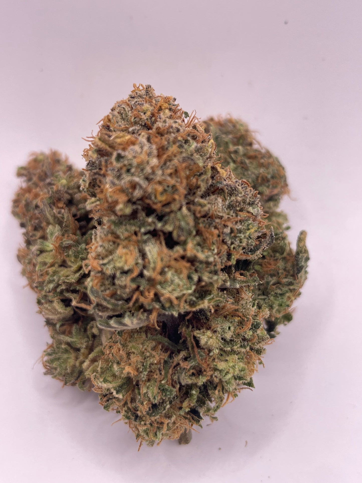Big Buds - Sweet Frost