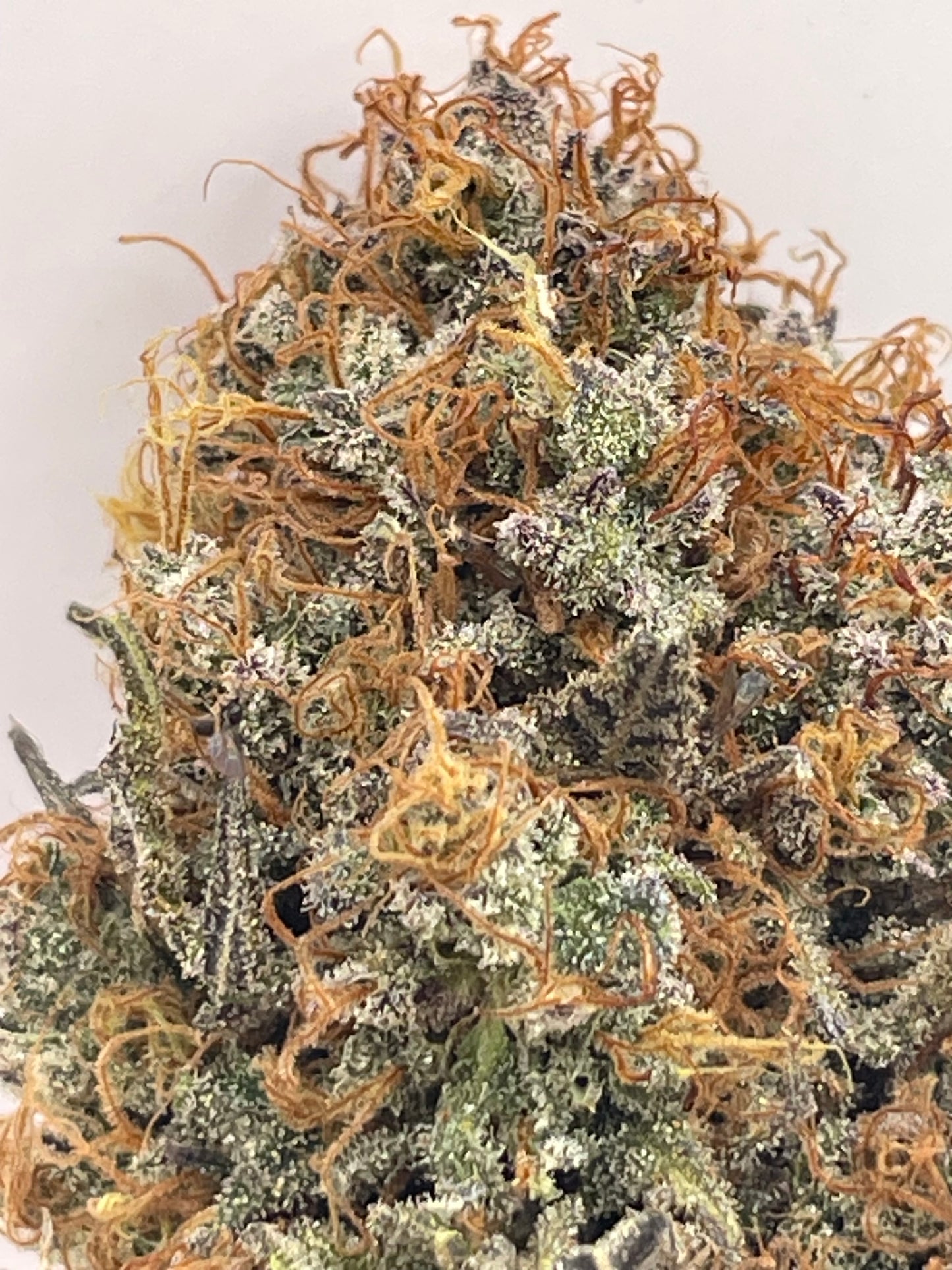 Big Buds - Tomahawk