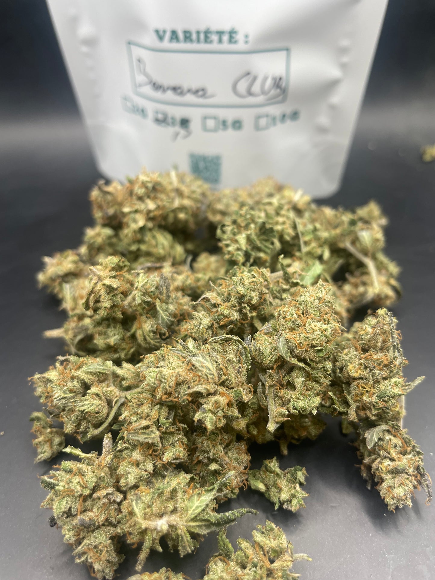 Mini Bud - Banana CLUB (Mac) - Indoor