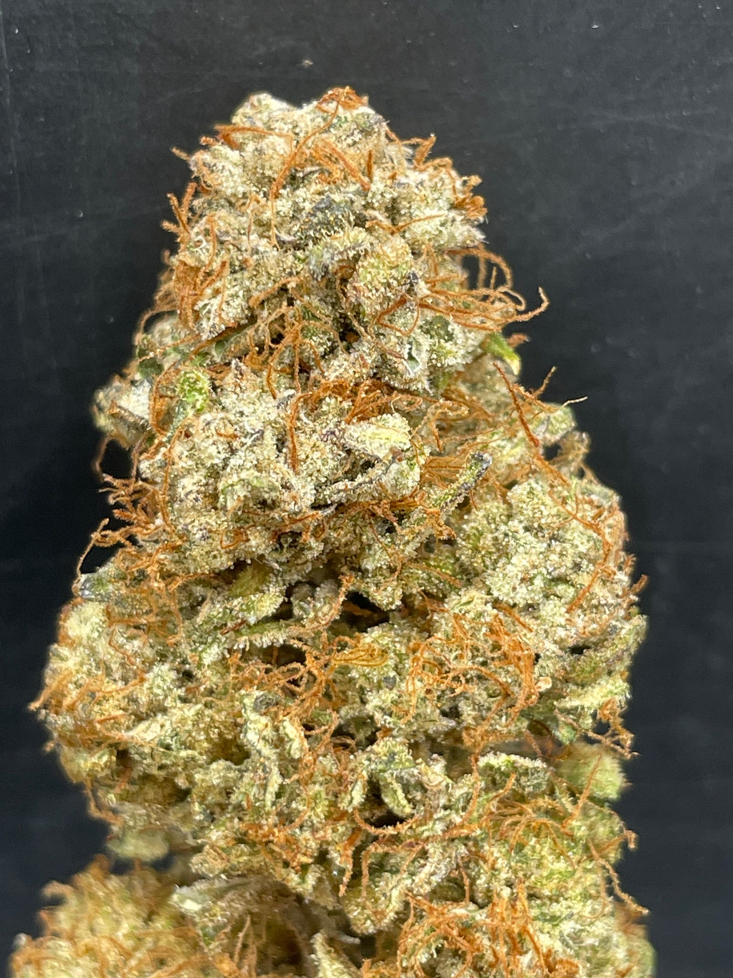 Fleur CBD - Bombe Cyclone