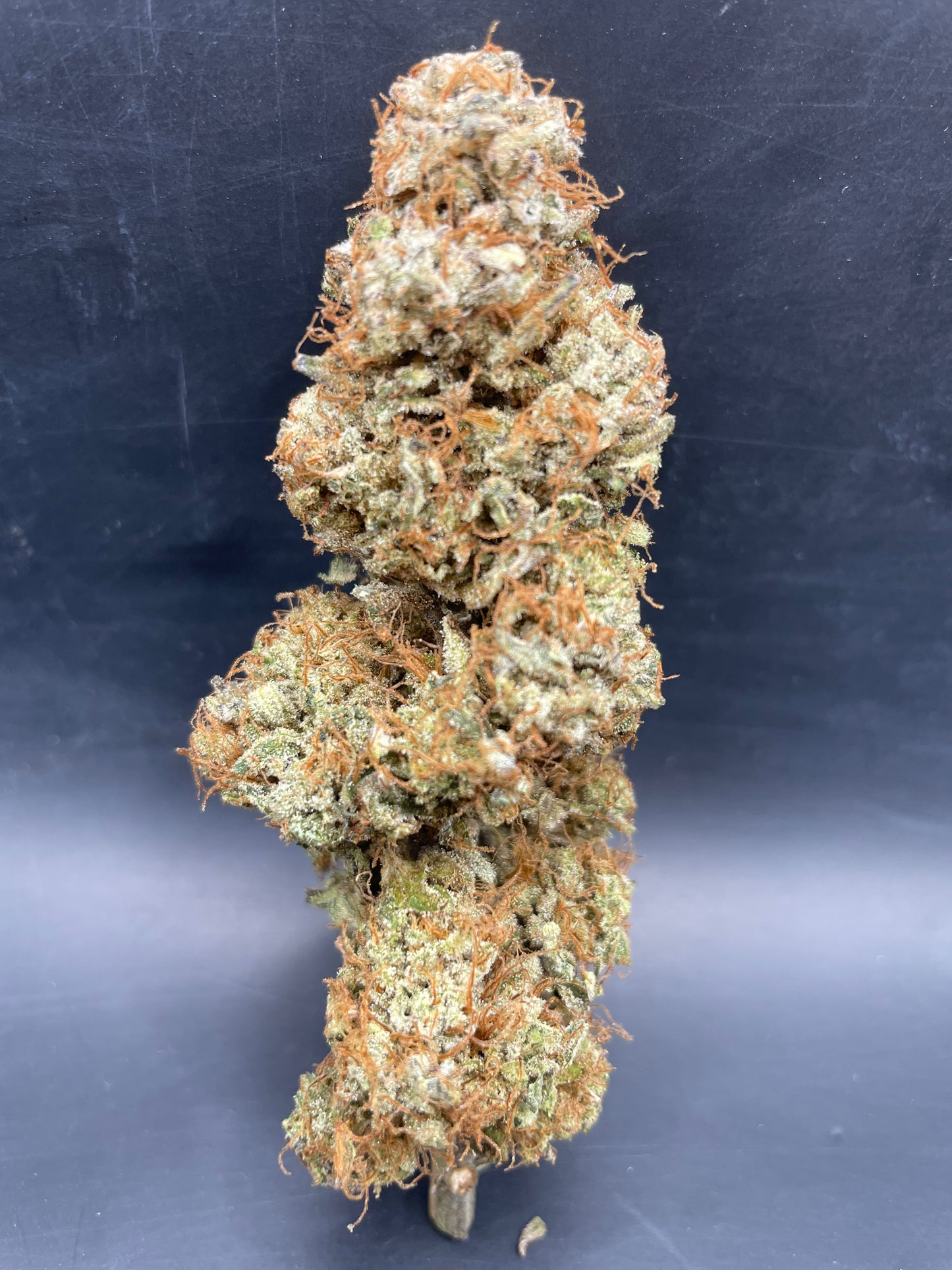 Fleur CBD - Bombe Cyclone