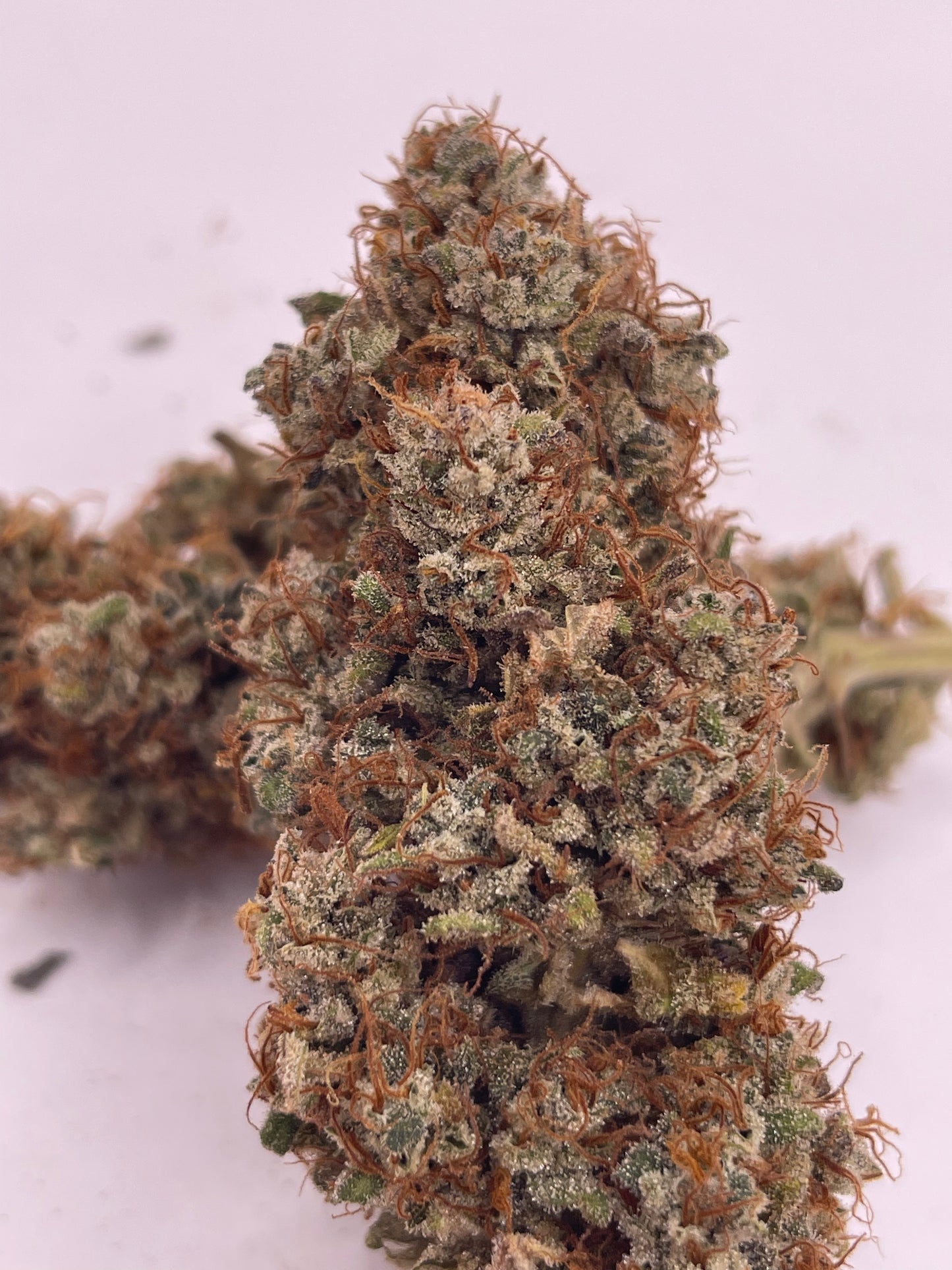 Fleur CBD - Pineapple Sauvage