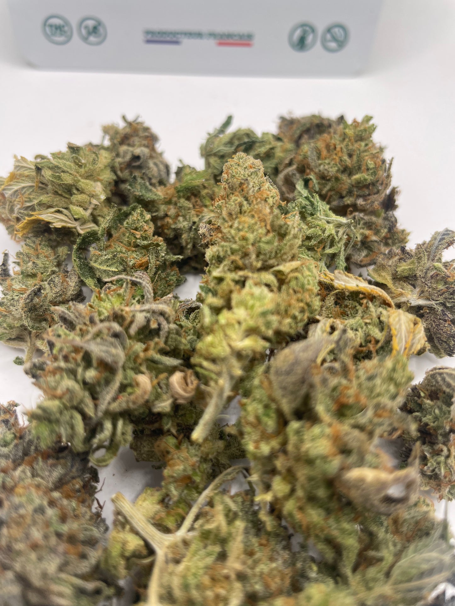 Medium Buds - Pork Butter