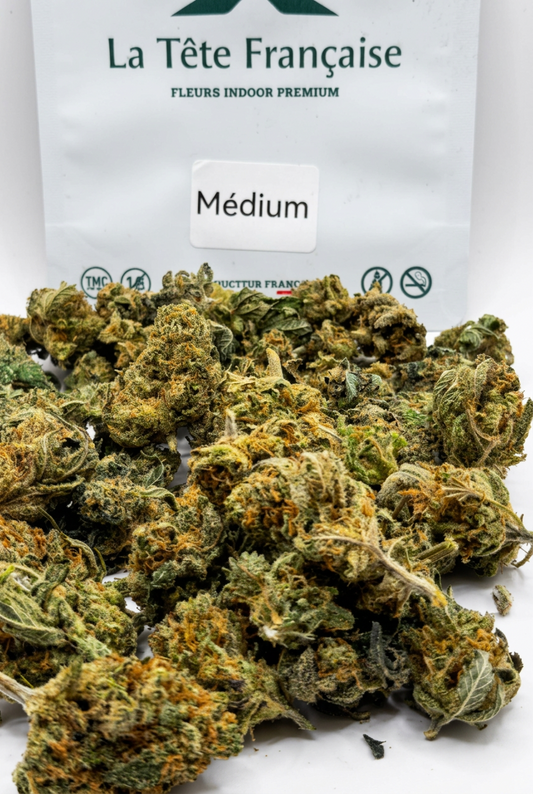 Medium Buds - Unicorn Terrine