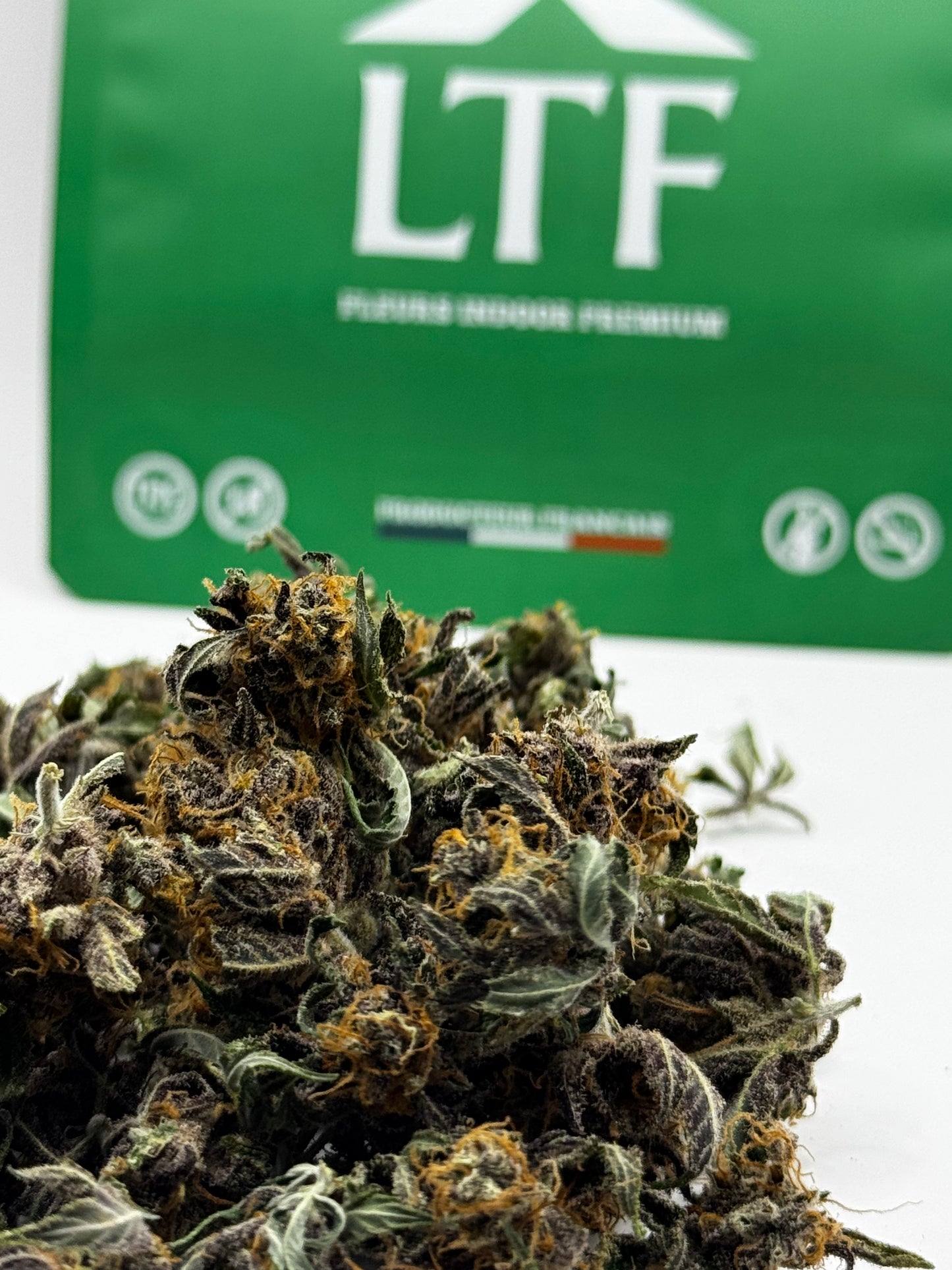 Mini Buds CBD – Rainbow Sherbet