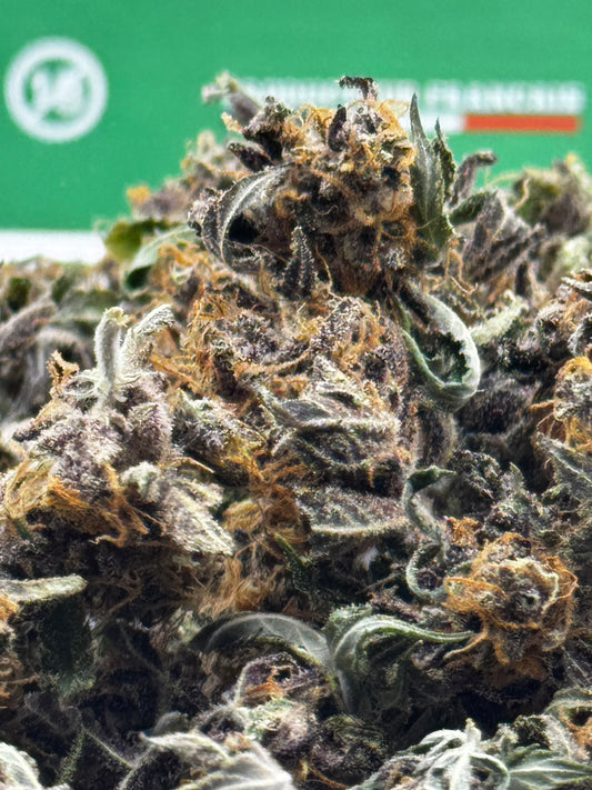 Mini Buds CBD – Rainbow Sherbet