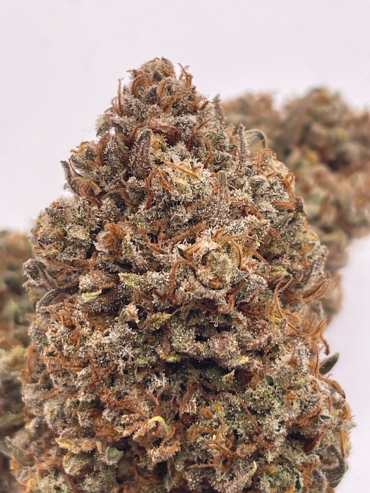 Fleur CBD - Tropiskunk