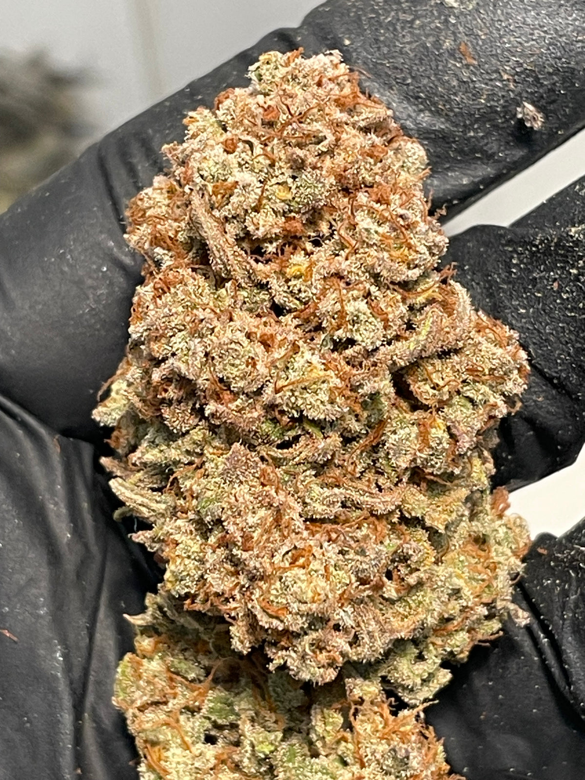 Big Buds Tropiskunk V2, photo 2