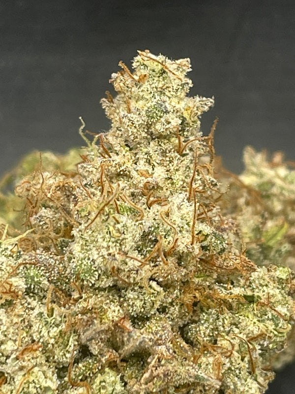Fleur CBD - Legendary Banana MAC Indoor