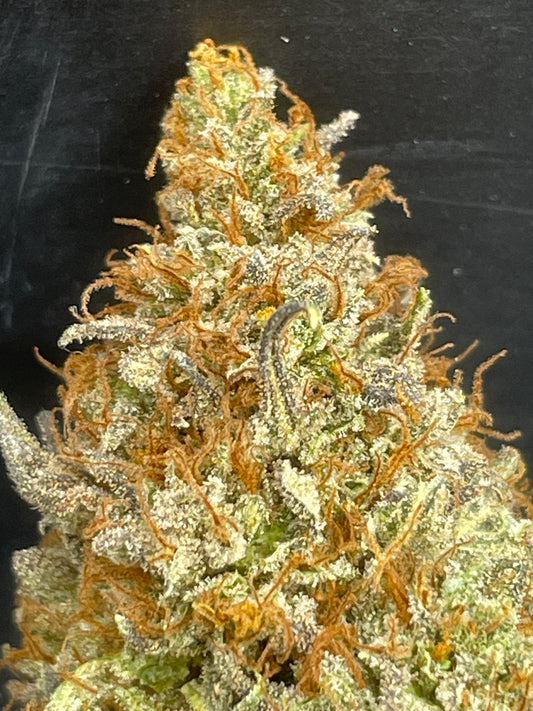 Fleur CBD - G2 Kush - CLUB LTF