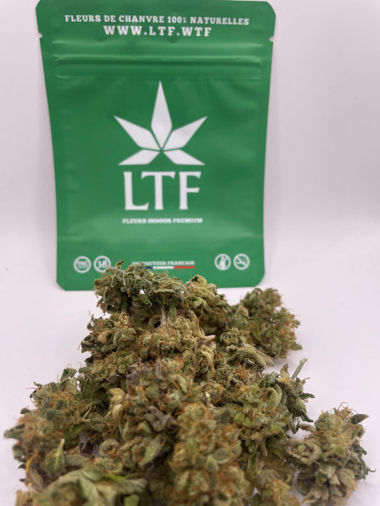 Mini Bud - Tropiskunk