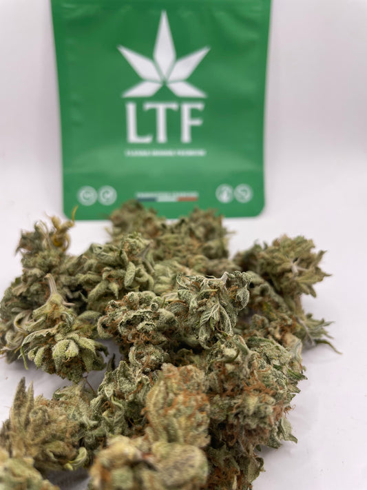 Mini Bud - Cotton Cream