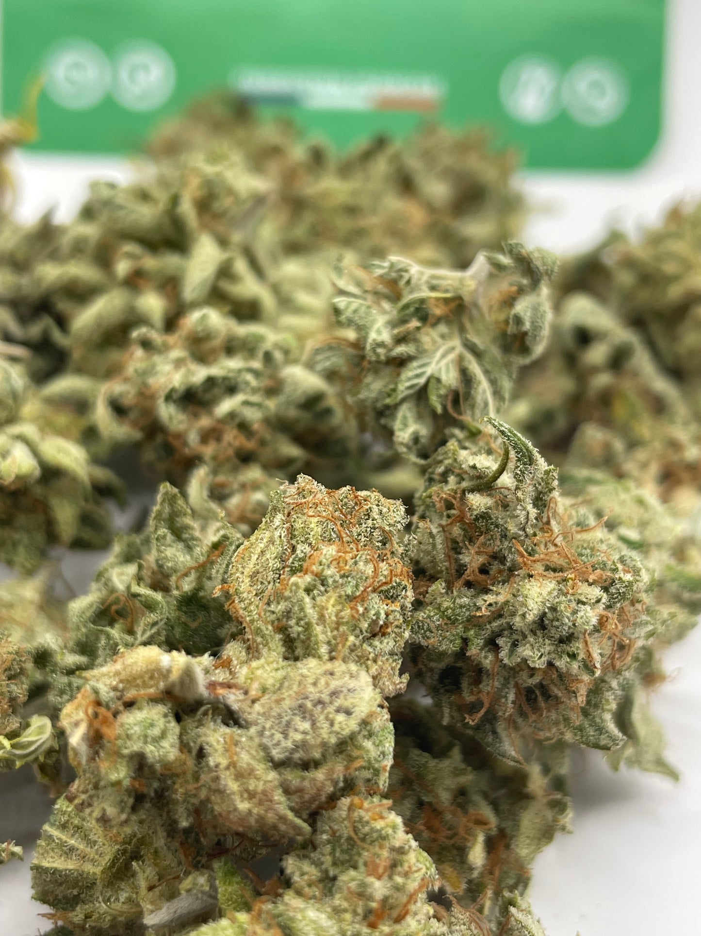 Mini Bud - Cotton Cream