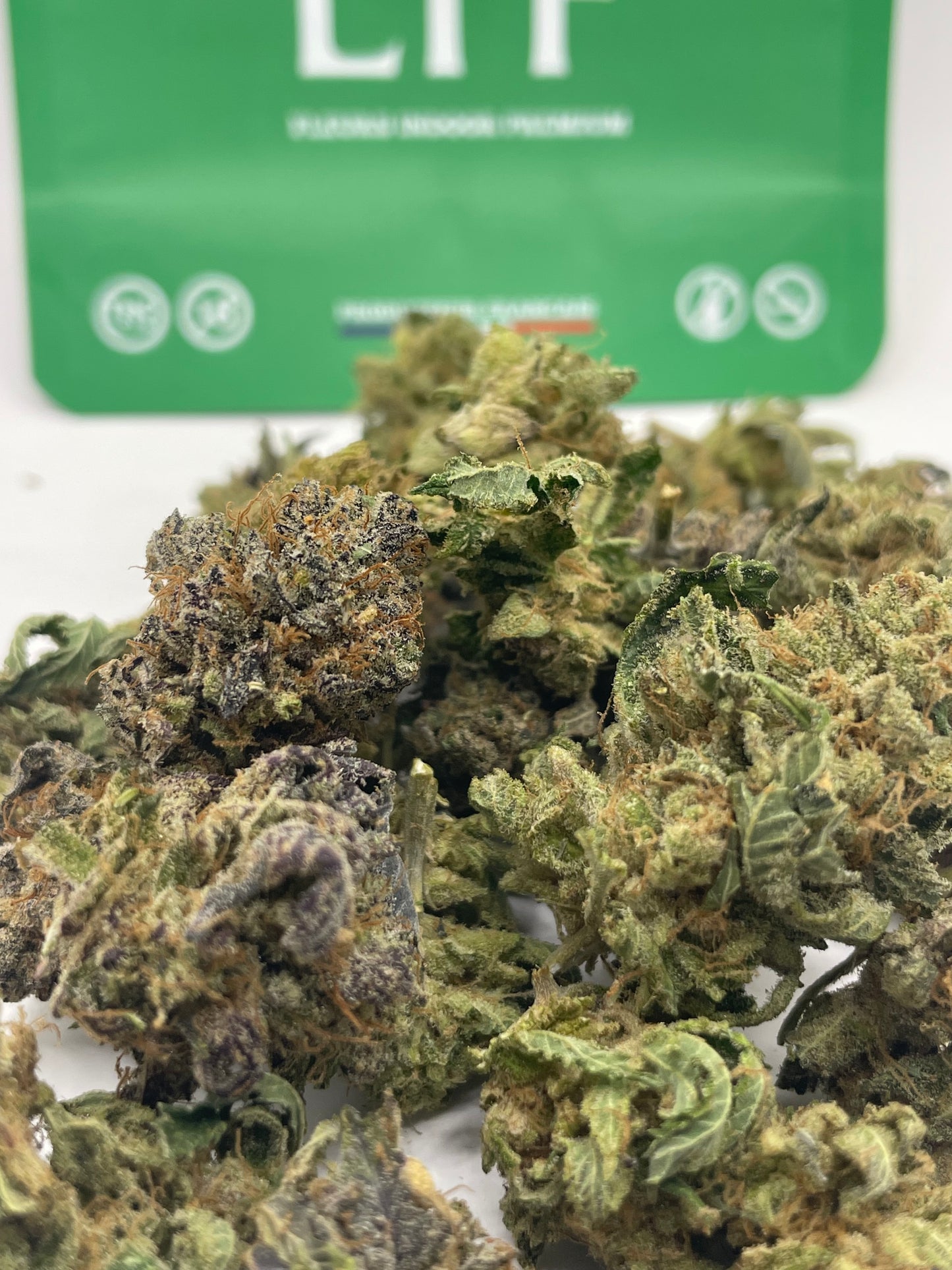Medium Buds Bud - Coulis