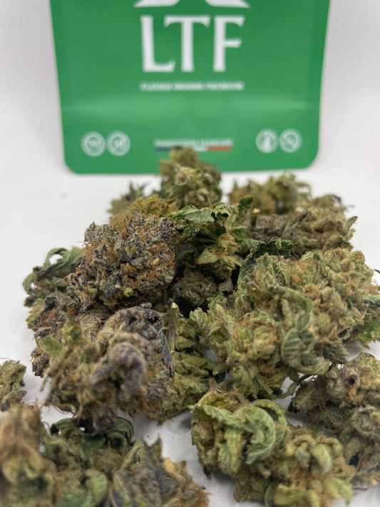 Medium Buds Bud - Coulis