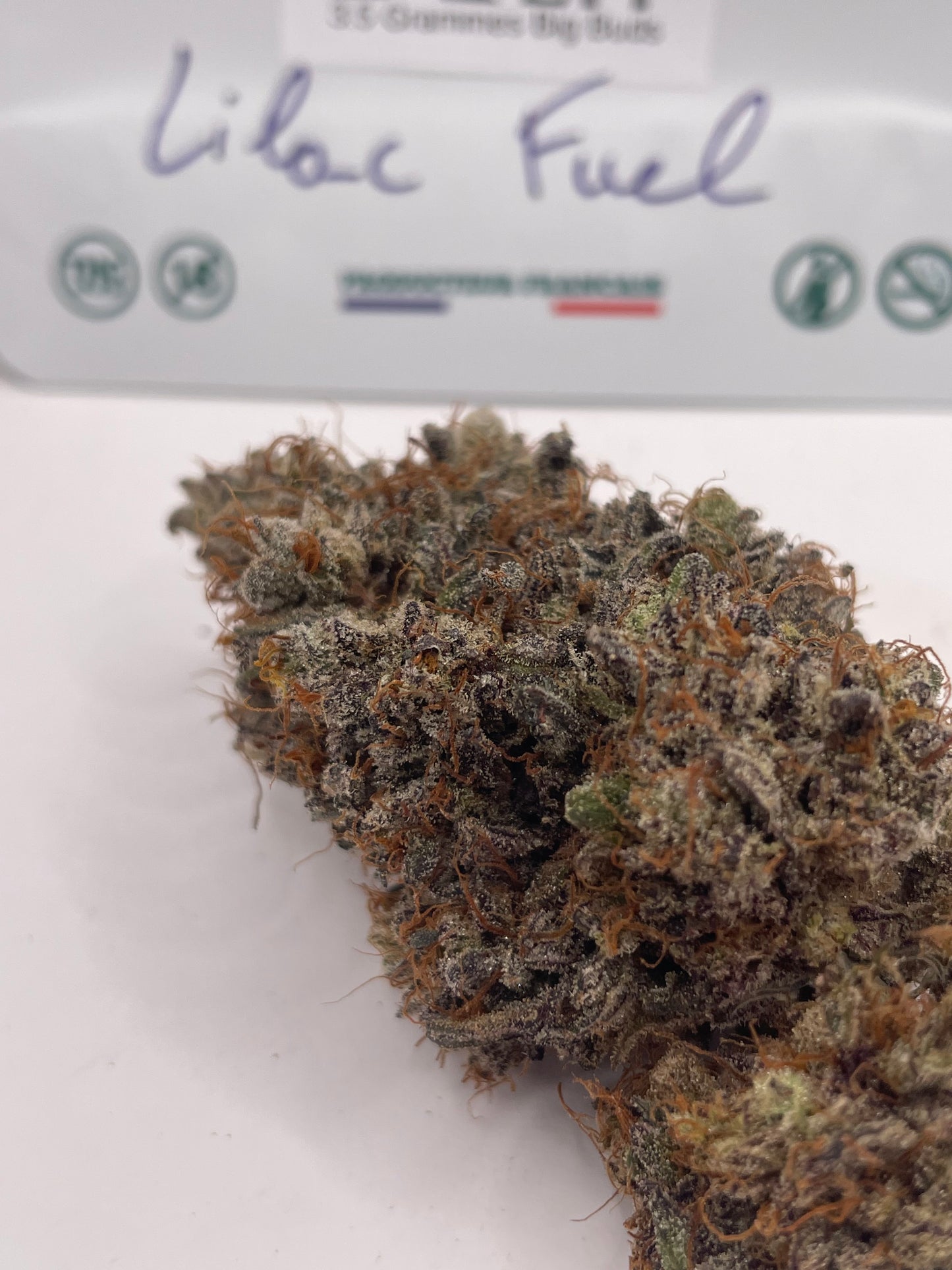 Pack Découverte Drop — Lemon Leather (Signature) × Lilac Fuel (Réserve)