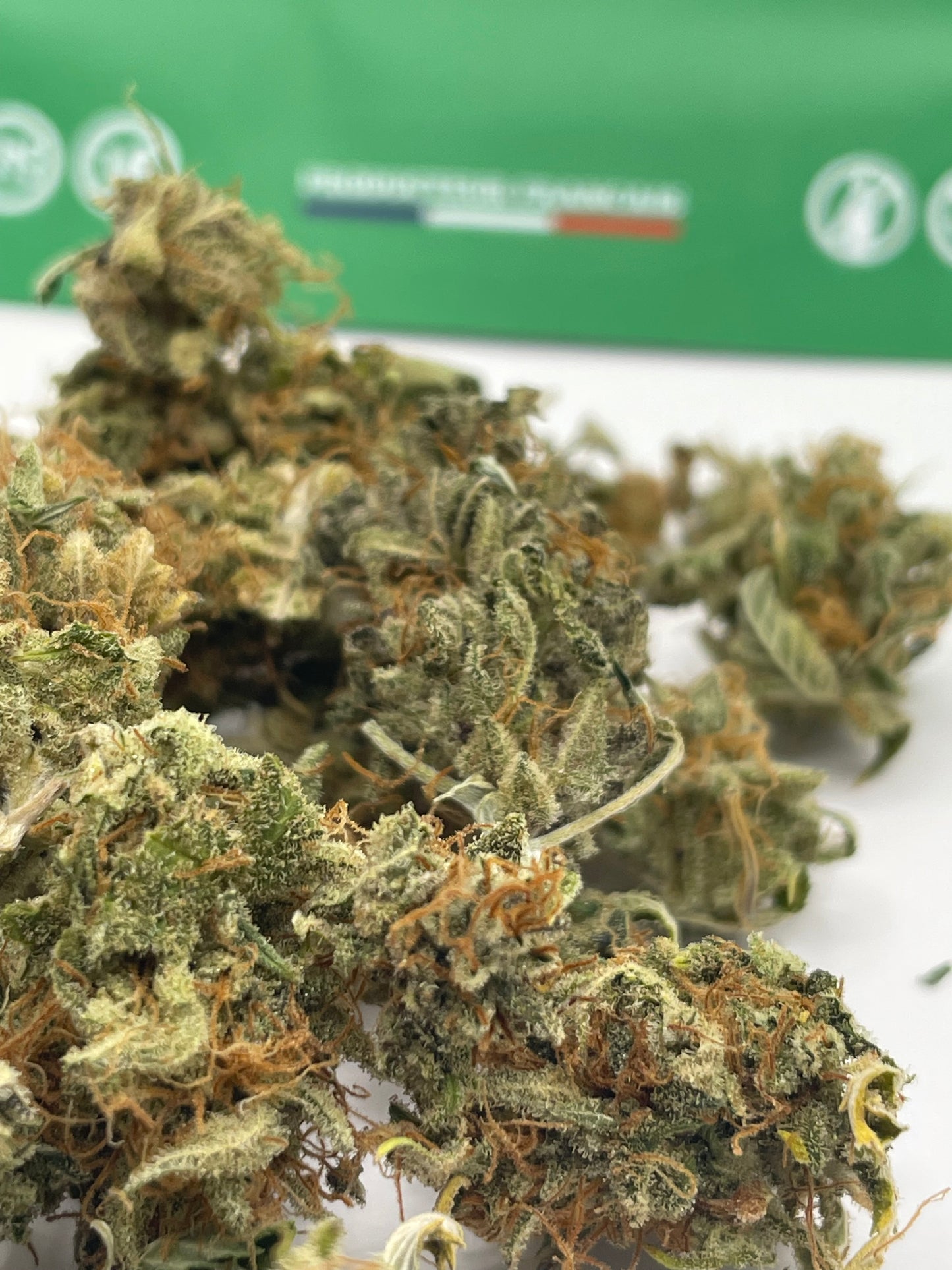 Mini Bud - Pineapple Sauvage