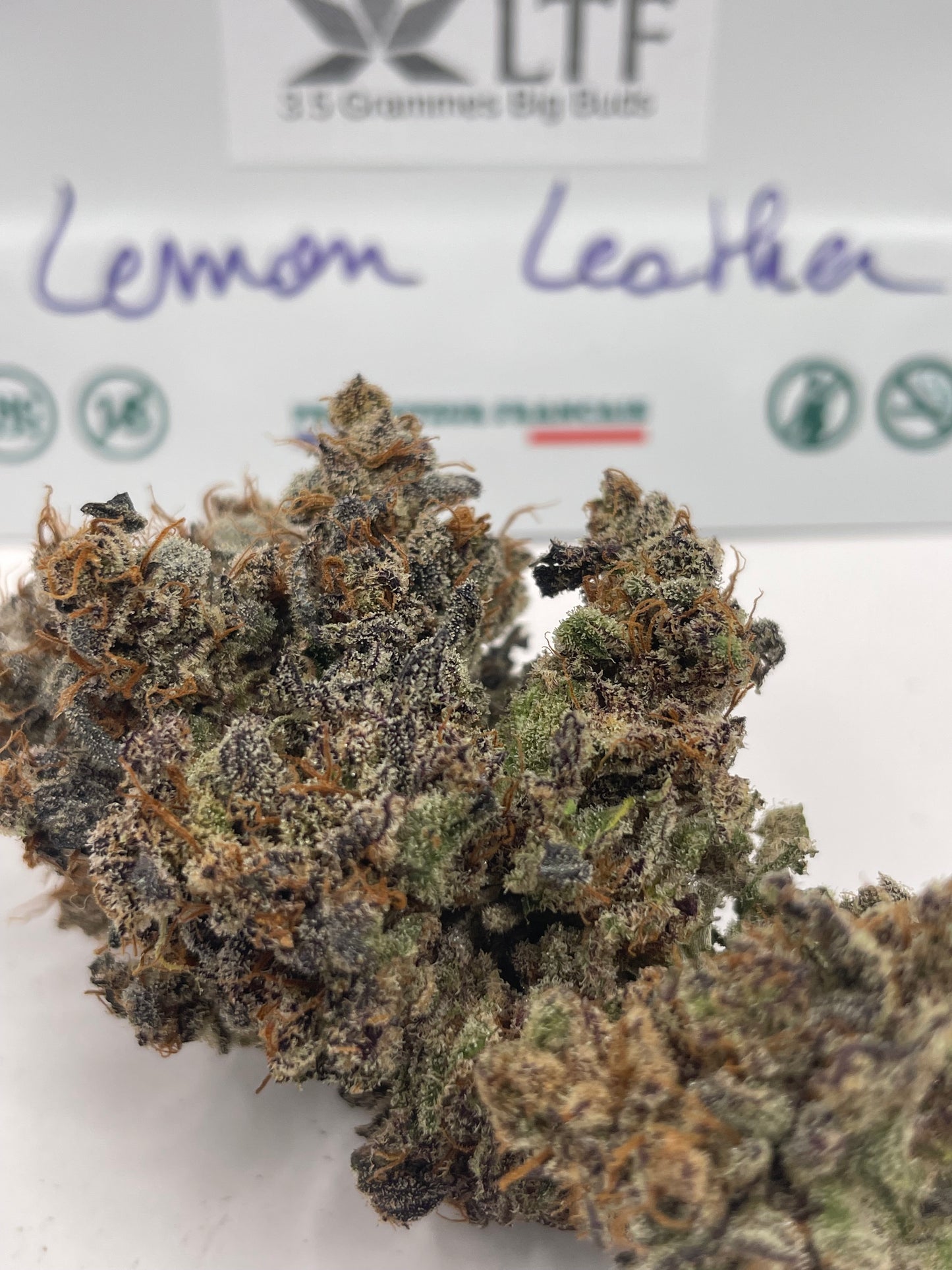 Pack Découverte Drop — Lemon Leather (Signature) × Lilac Fuel (Réserve)