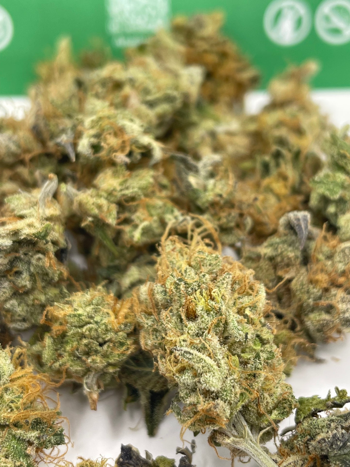 Mini Bud - Saucière