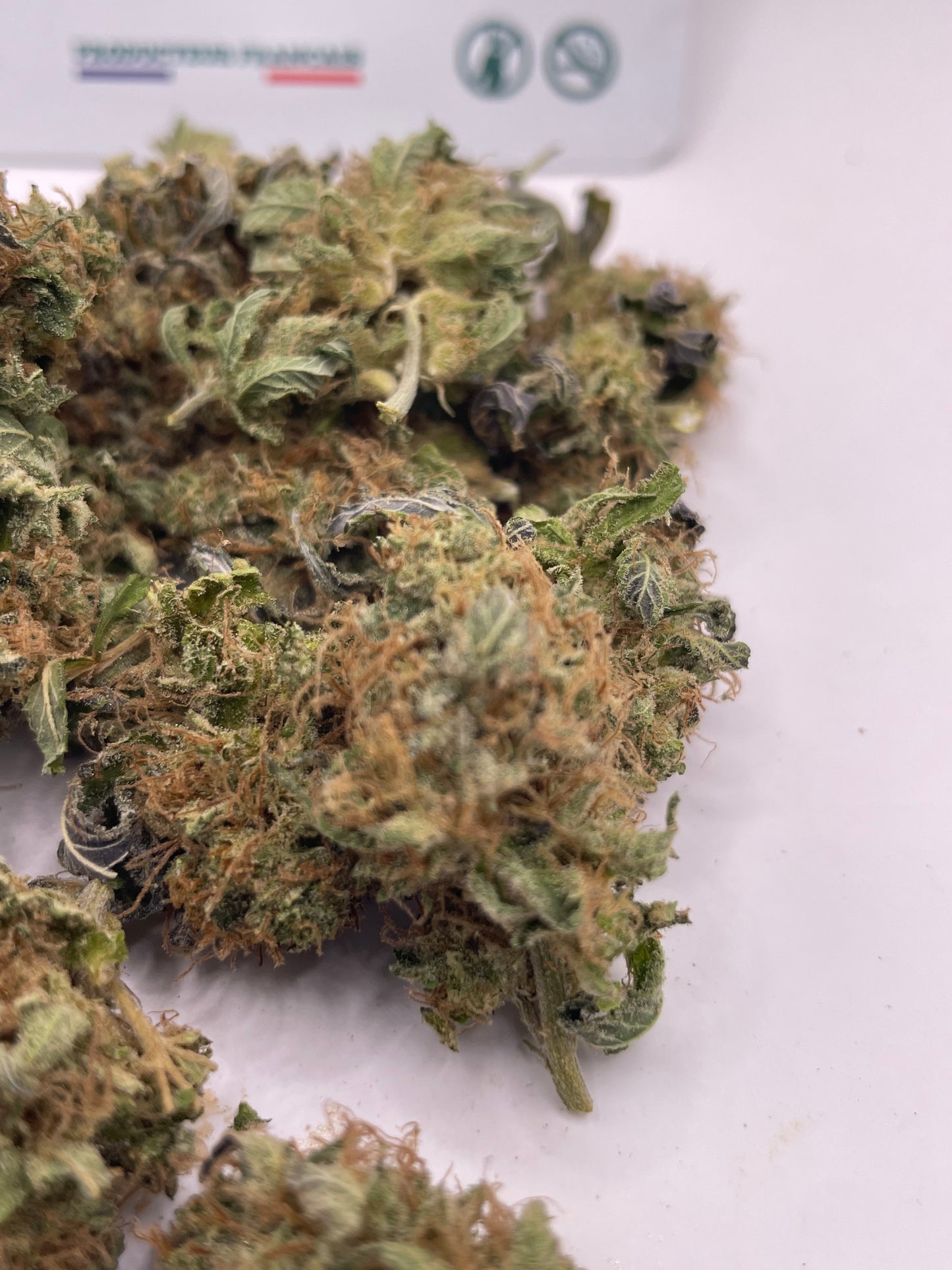 Medium Buds - Apple Sauce