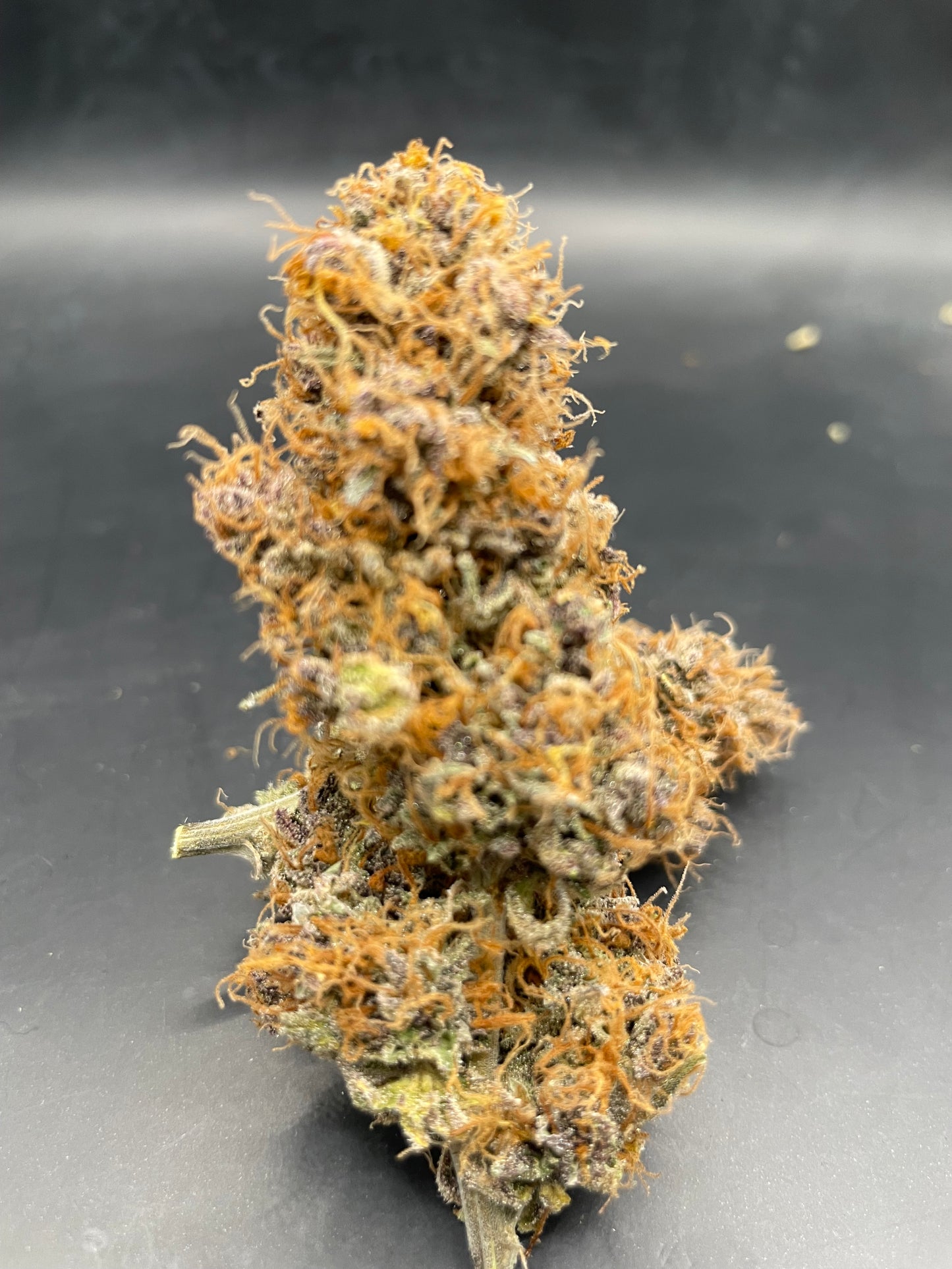 Fleur CBD - Rainbow Sherbet Indoor