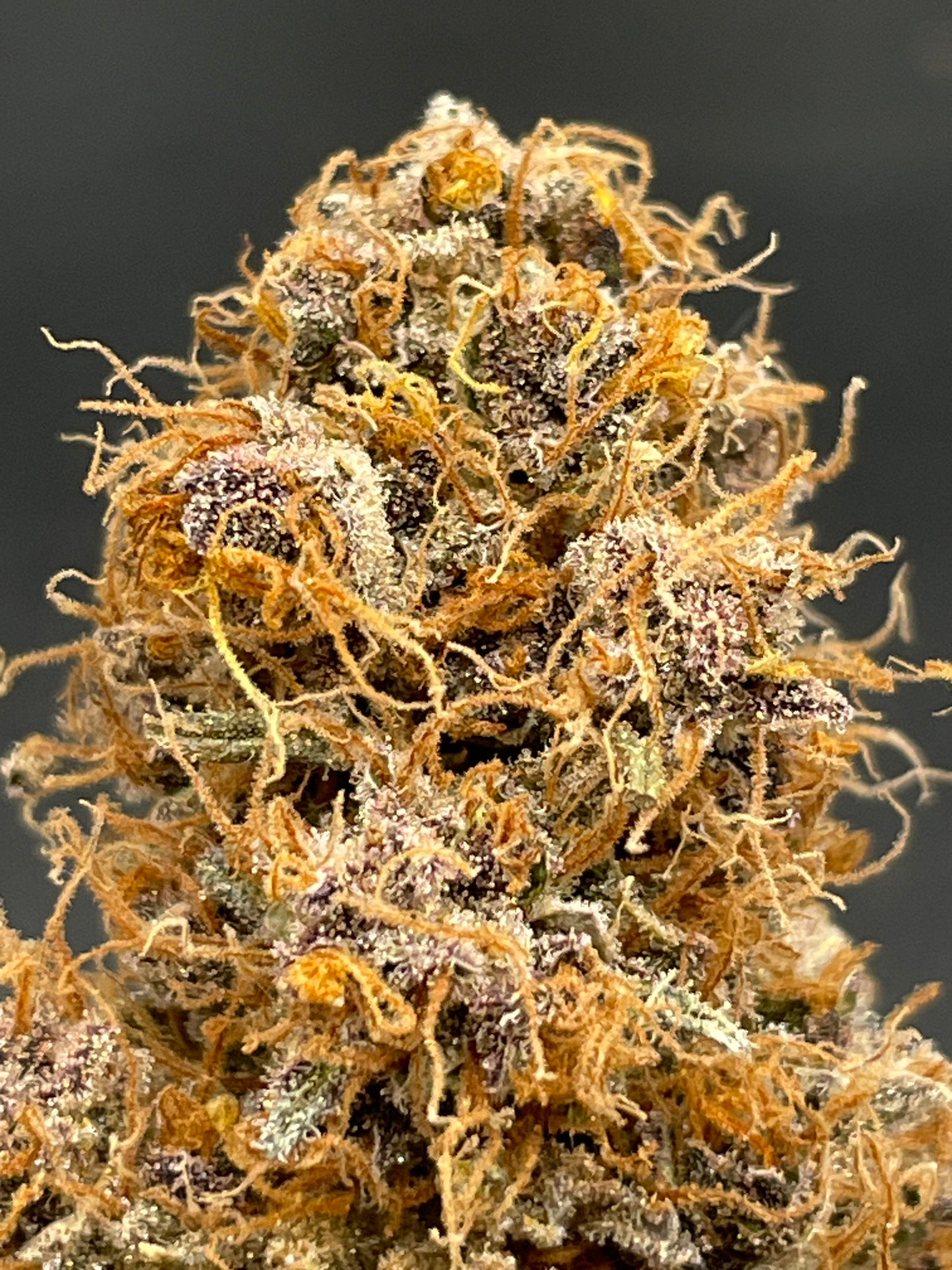 Fleur CBD - Rainbow Sherbet Indoor