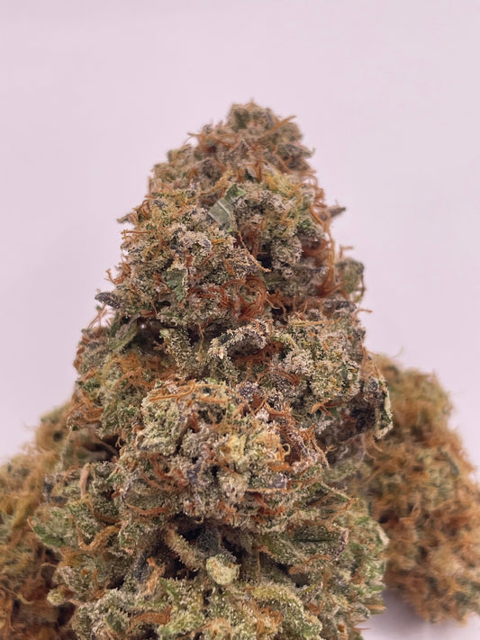 Fleur CBD - Saucière - Indoor