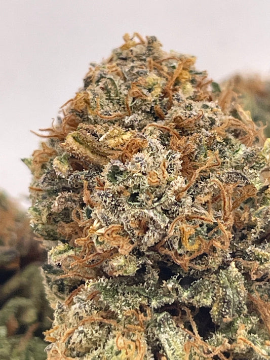 Big Buds - Sweet Frost